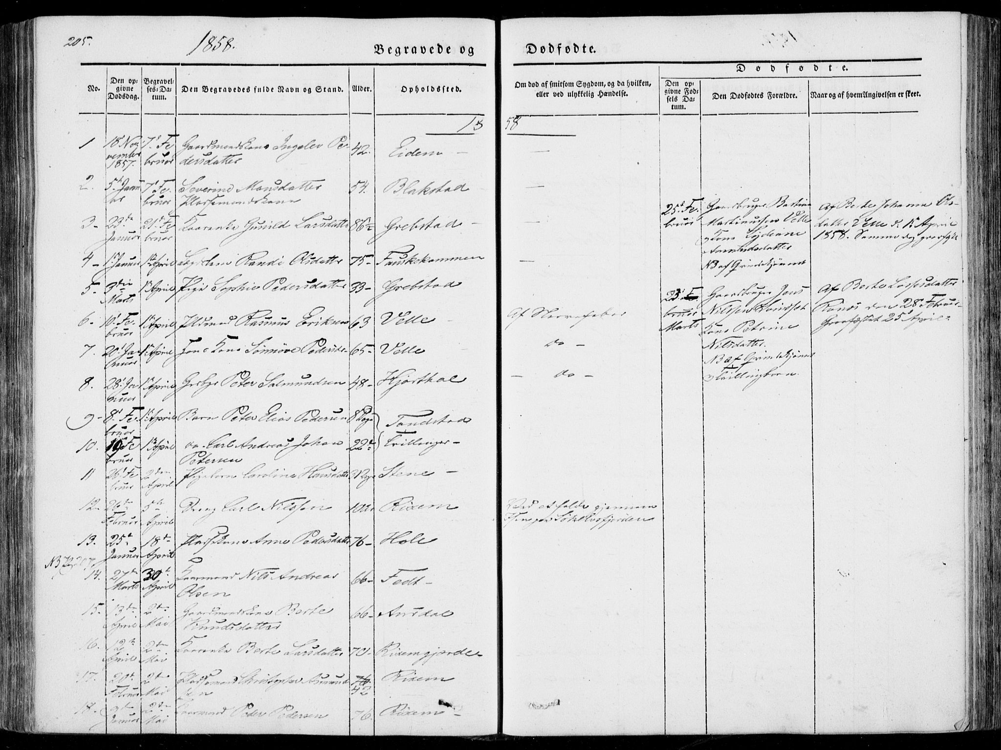 Ministerialprotokoller, klokkerbøker og fødselsregistre - Møre og Romsdal, SAT/A-1454/522/L0313: Parish register (official) no. 522A08, 1852-1862, p. 205