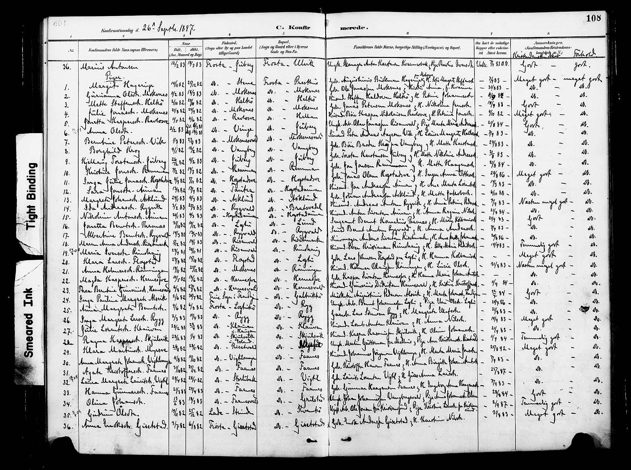 Ministerialprotokoller, klokkerbøker og fødselsregistre - Nord-Trøndelag, AV/SAT-A-1458/713/L0121: Parish register (official) no. 713A10, 1888-1898, p. 108