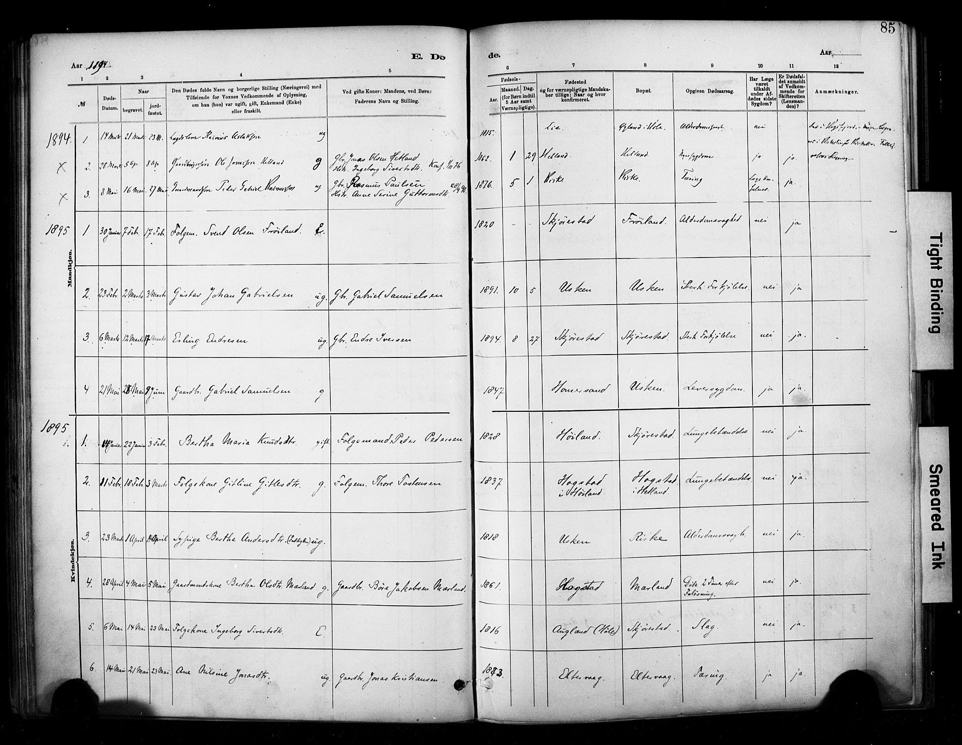 Hetland sokneprestkontor, SAST/A-101826/30/30BA/L0010: Parish register (official) no. A 10, 1882-1925, p. 85
