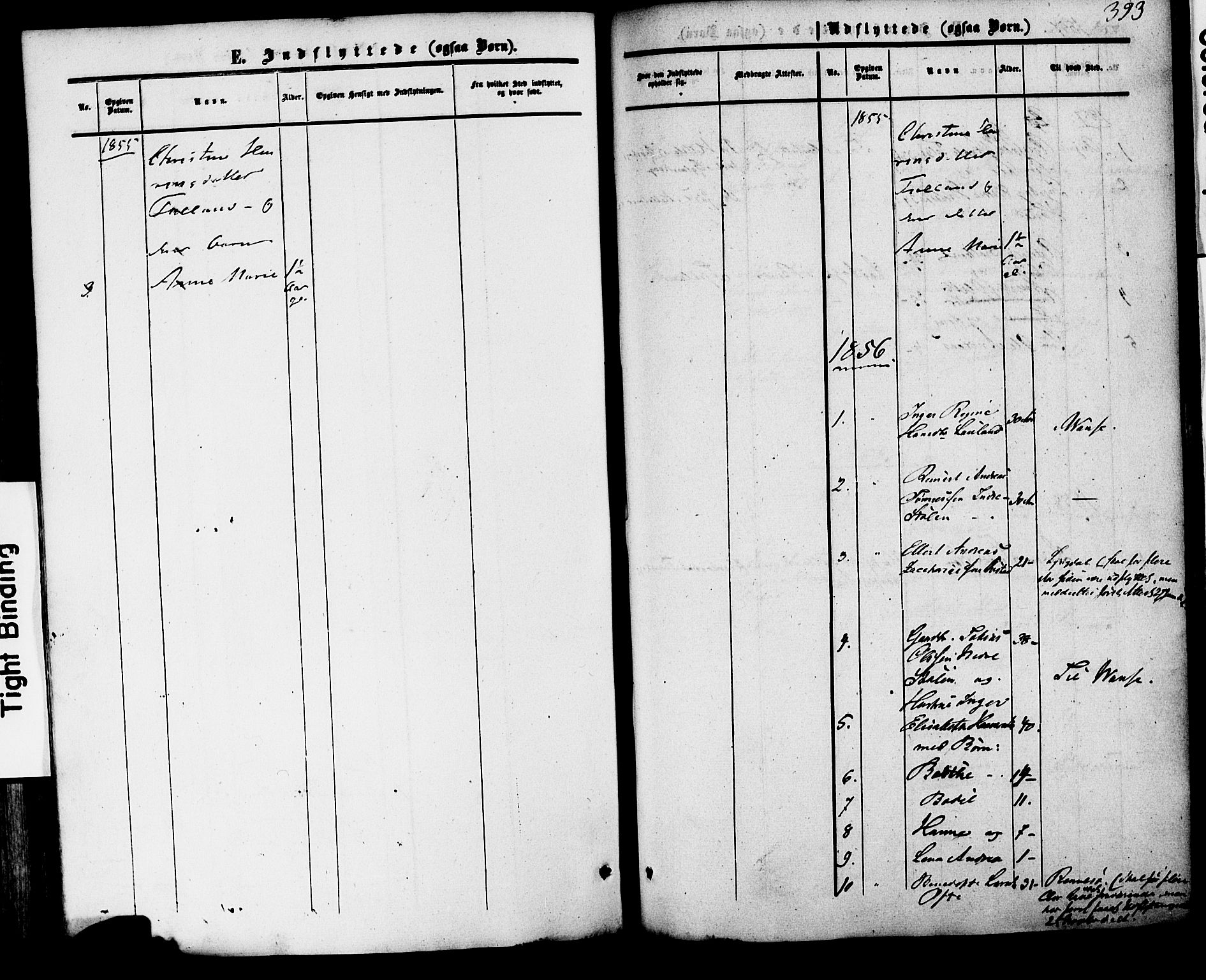 Herad sokneprestkontor, AV/SAK-1111-0018/F/Fa/Faa/L0005: Parish register (official) no. A 5, 1853-1886, p. 393