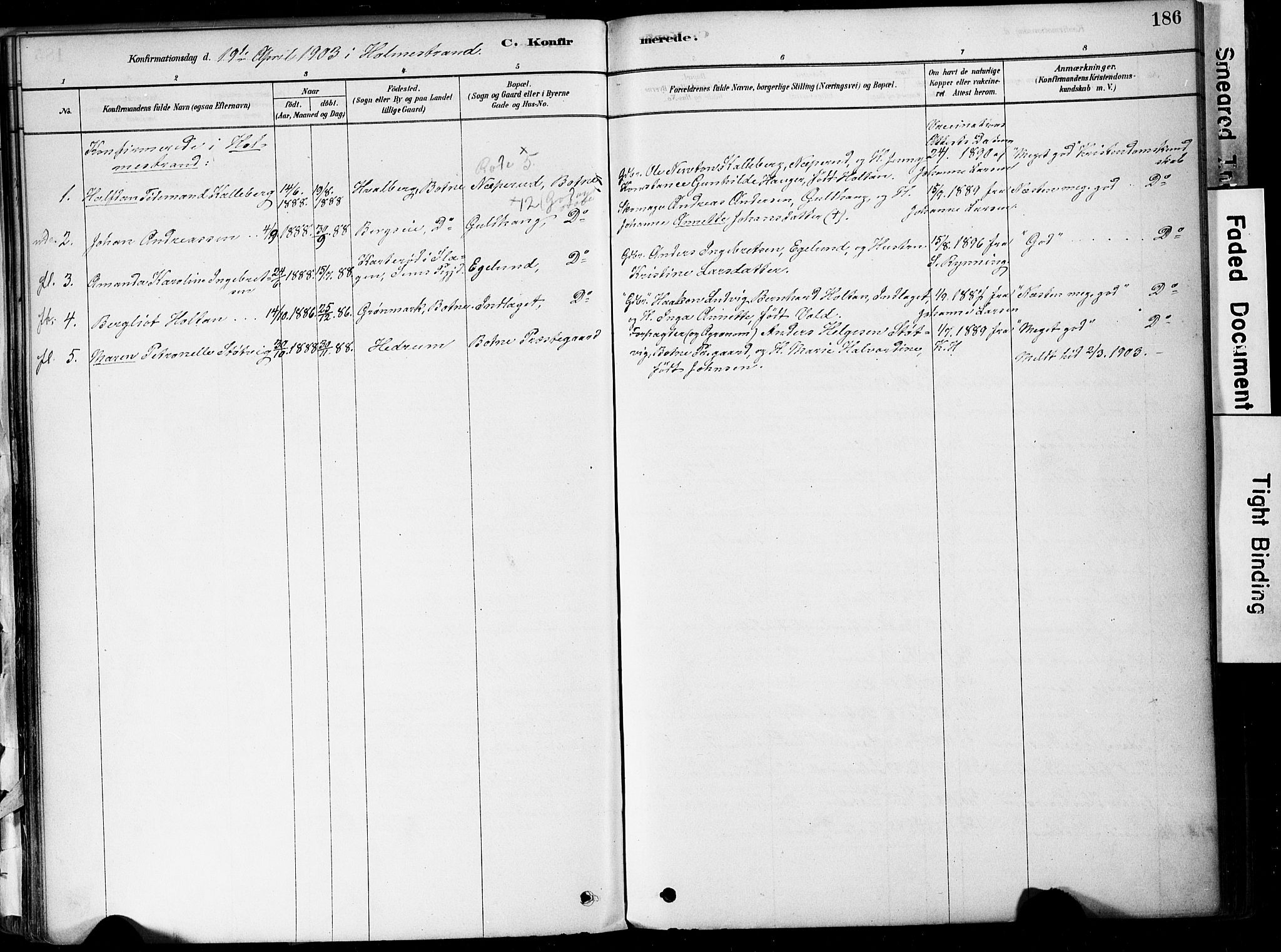 Botne kirkebøker, AV/SAKO-A-340/F/Fa/L0007: Parish register (official) no. I 7, 1878-1910, p. 186