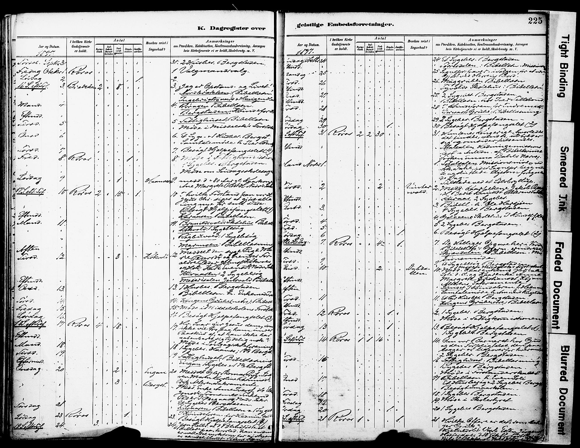 Ministerialprotokoller, klokkerbøker og fødselsregistre - Sør-Trøndelag, SAT/A-1456/681/L0935: Parish register (official) no. 681A13, 1890-1898, p. 225