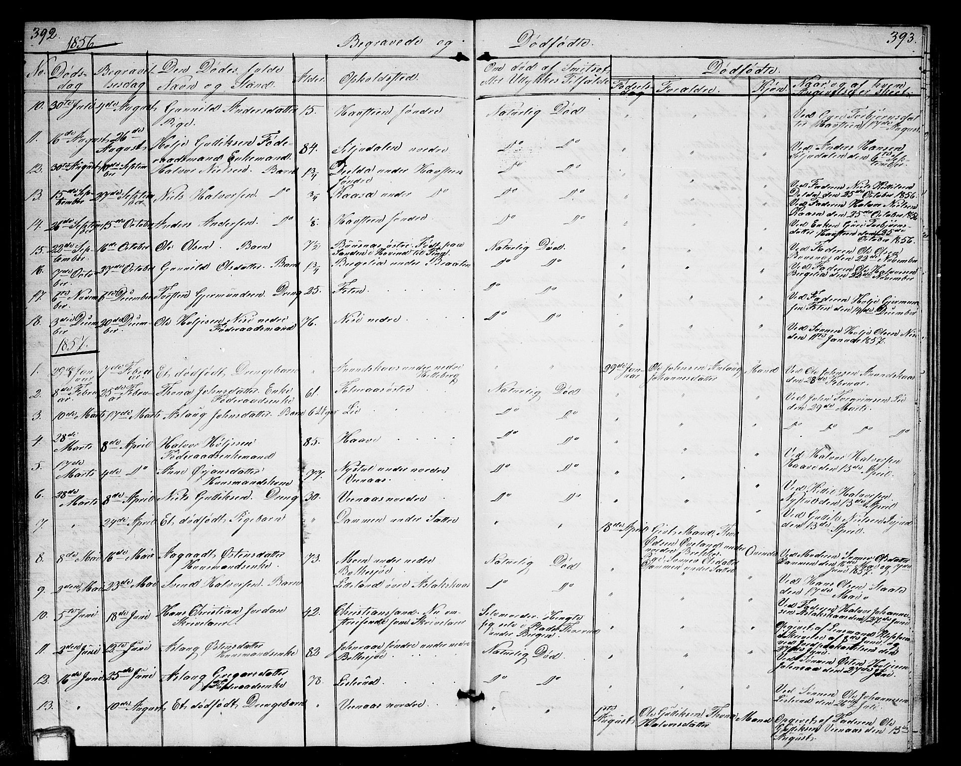 Gransherad kirkebøker, SAKO/A-267/G/Ga/L0002: Parish register (copy) no. I 2, 1854-1886, p. 392-393