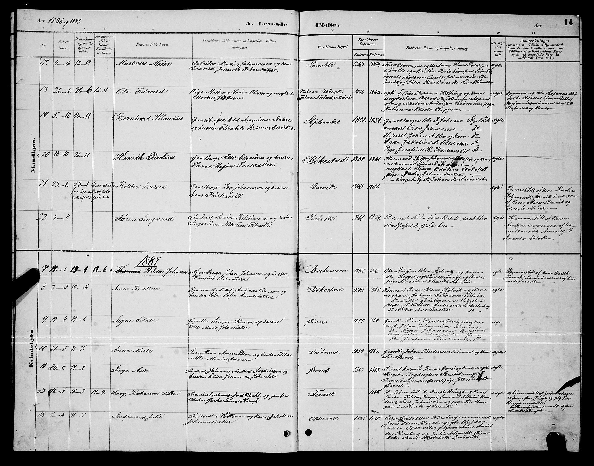 Ministerialprotokoller, klokkerbøker og fødselsregistre - Nordland, AV/SAT-A-1459/810/L0160: Parish register (copy) no. 810C03, 1884-1896, p. 14