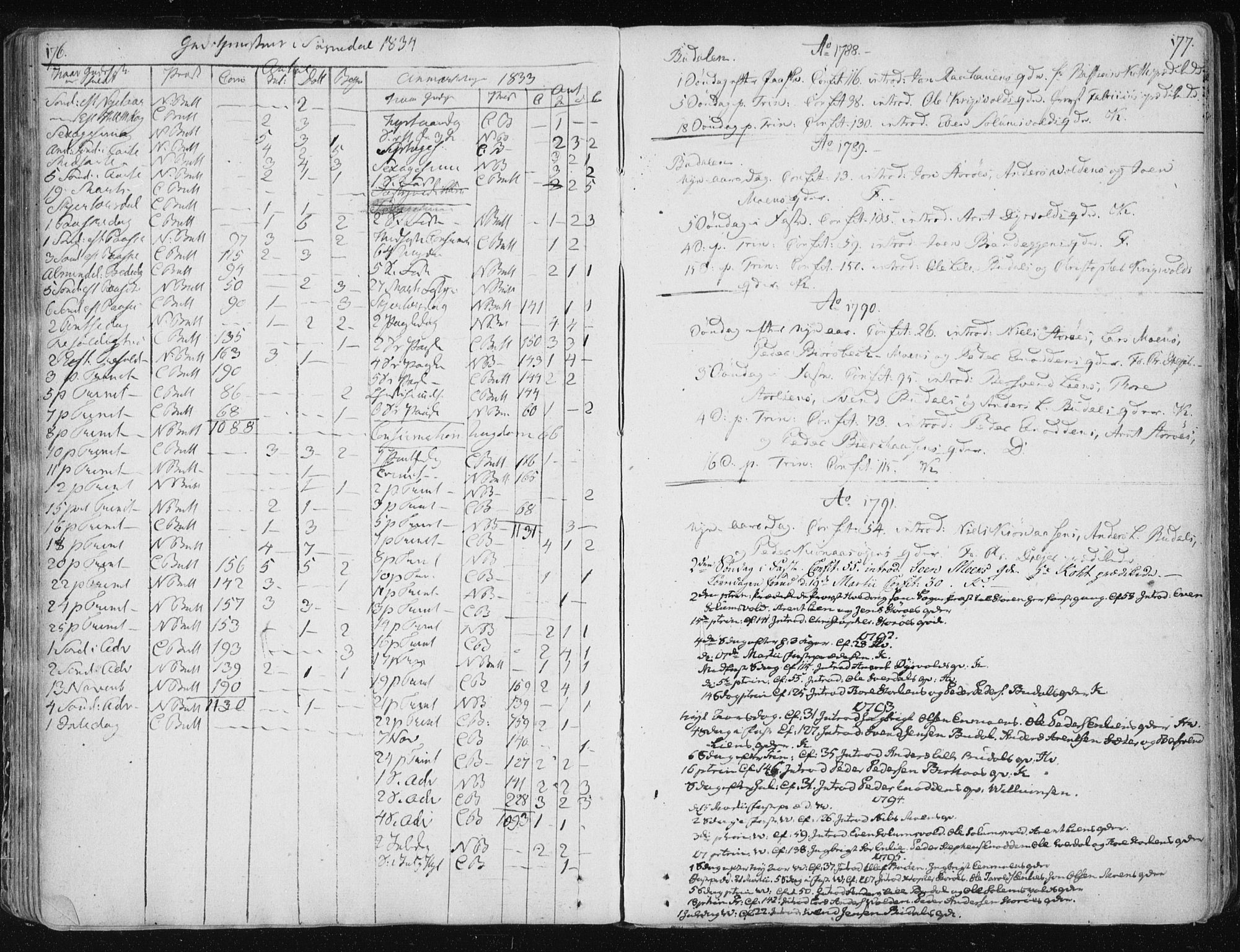 Ministerialprotokoller, klokkerbøker og fødselsregistre - Sør-Trøndelag, AV/SAT-A-1456/687/L0994: Parish register (official) no. 687A03 /3, 1788-1815, p. 176-177