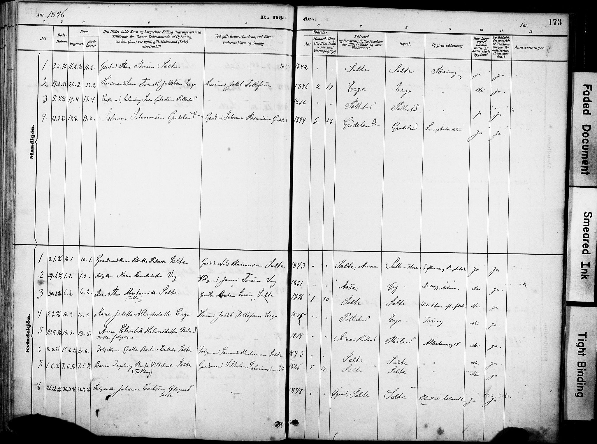 Klepp sokneprestkontor, SAST/A-101803/001/3/30BA/L0007: Parish register (official) no. A 8, 1886-1912, p. 173