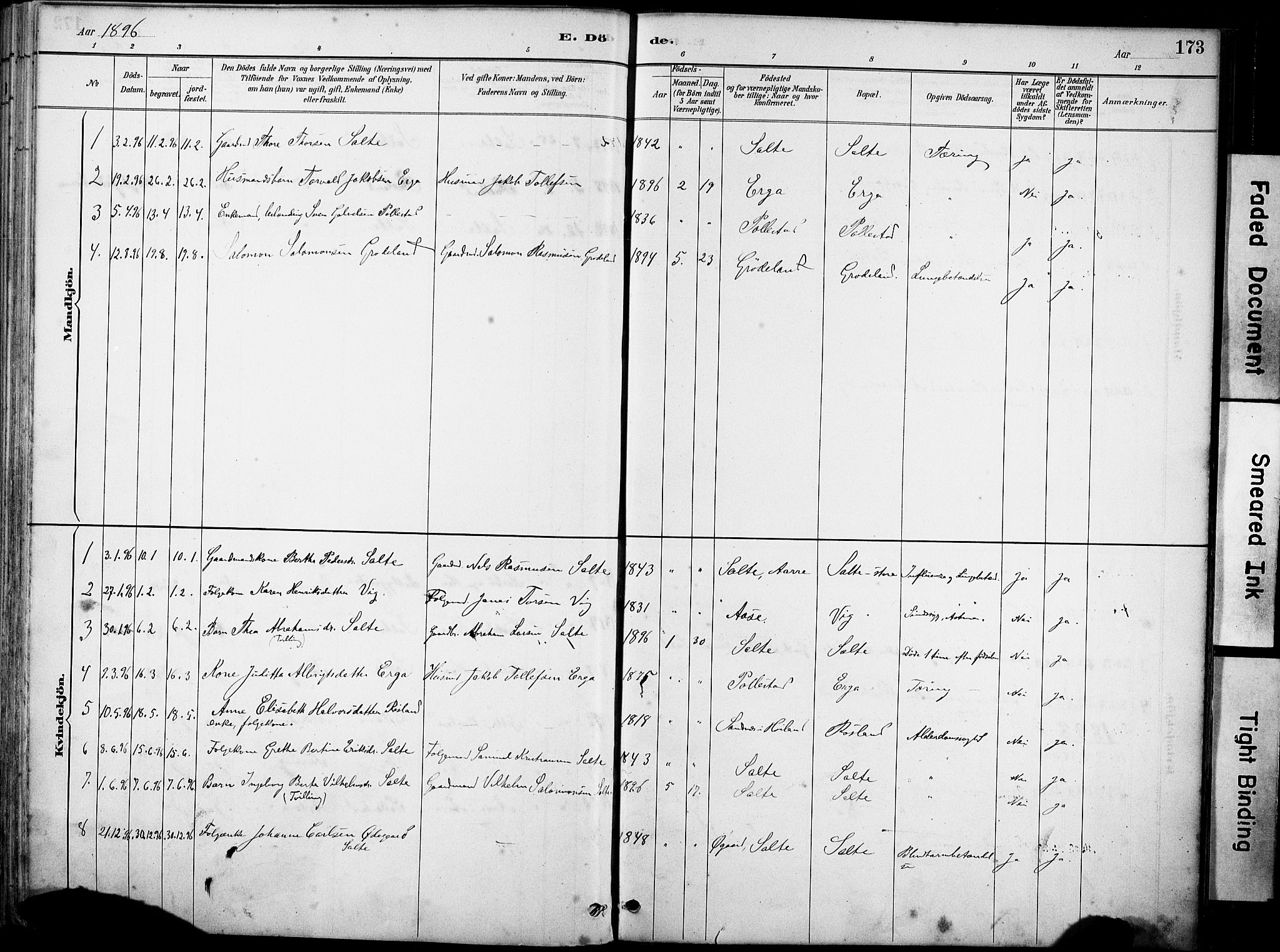 Klepp sokneprestkontor, AV/SAST-A-101803/001/3/30BA/L0007: Parish register (official) no. A 8, 1886-1912, p. 173