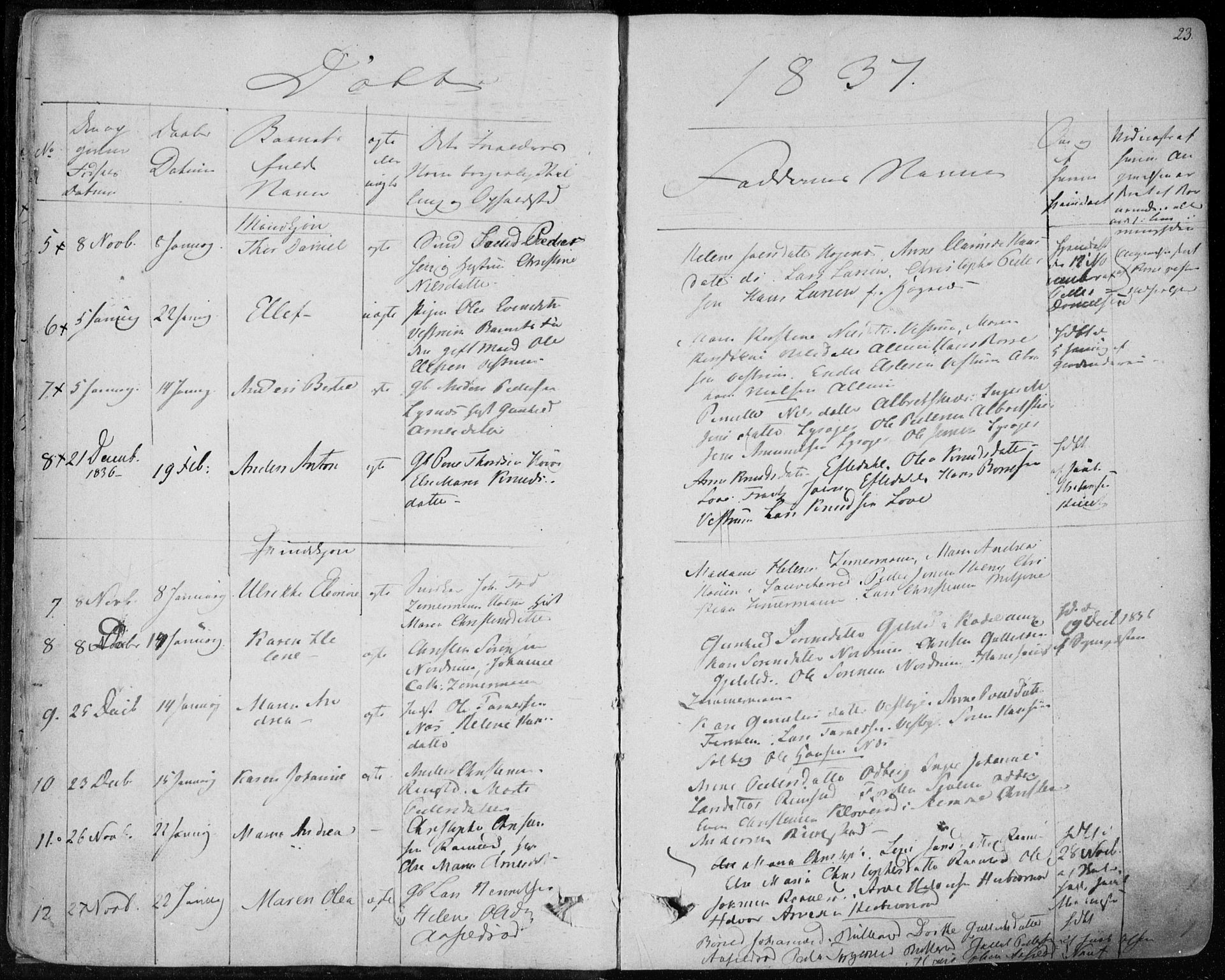 Hedrum kirkebøker, AV/SAKO-A-344/F/Fa/L0005: Parish register (official) no. I 5, 1835-1848, p. 23