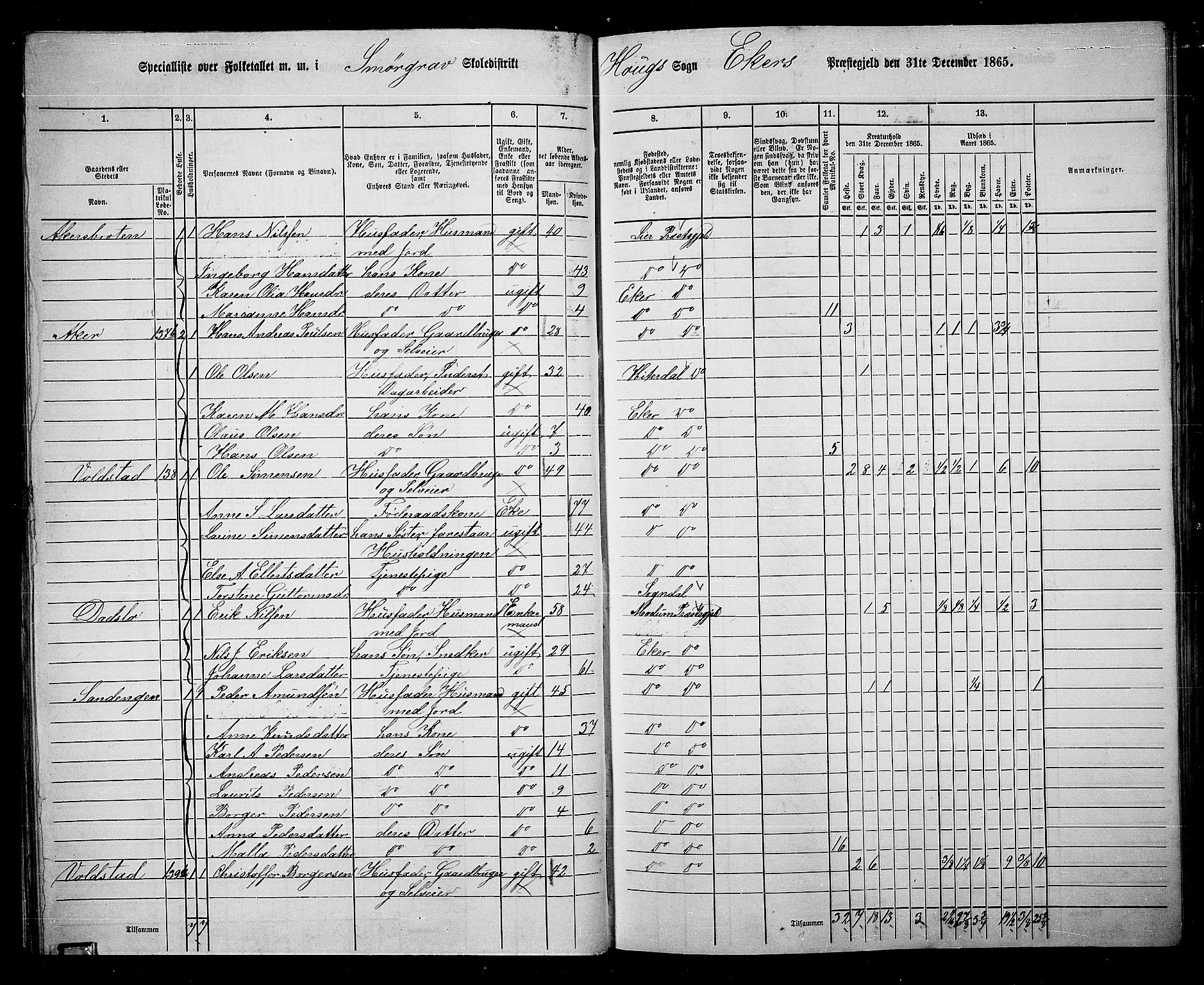 RA, 1865 census for Eiker, 1865, p. 43