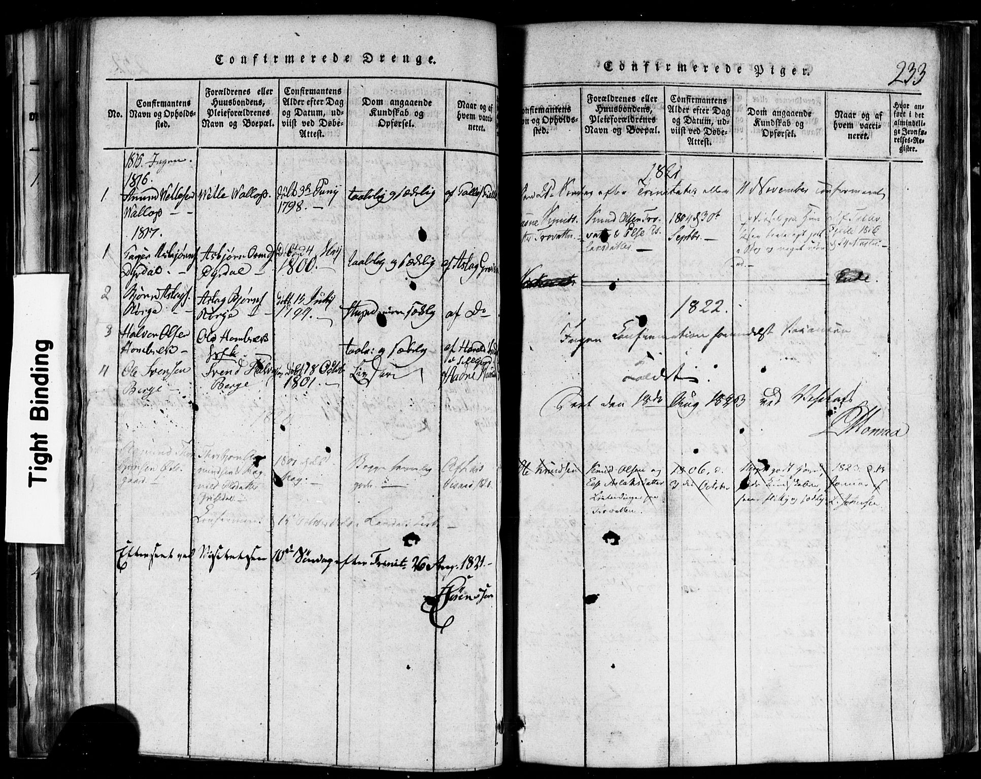 Rauland kirkebøker, SAKO/A-292/F/Fa/L0002: Parish register (official) no. 2, 1815-1860, p. 233