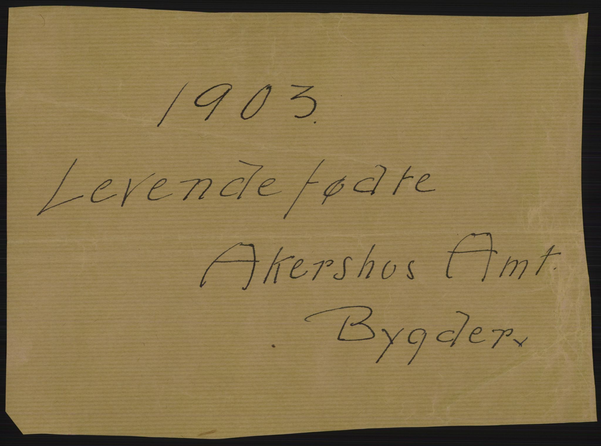 Statistisk sentralbyrå, Sosiodemografiske emner, Befolkning, AV/RA-S-2228/D/Df/Dfa/Dfaa/L0002: Akershus amt: Fødte, gifte, døde, 1903, p. 1