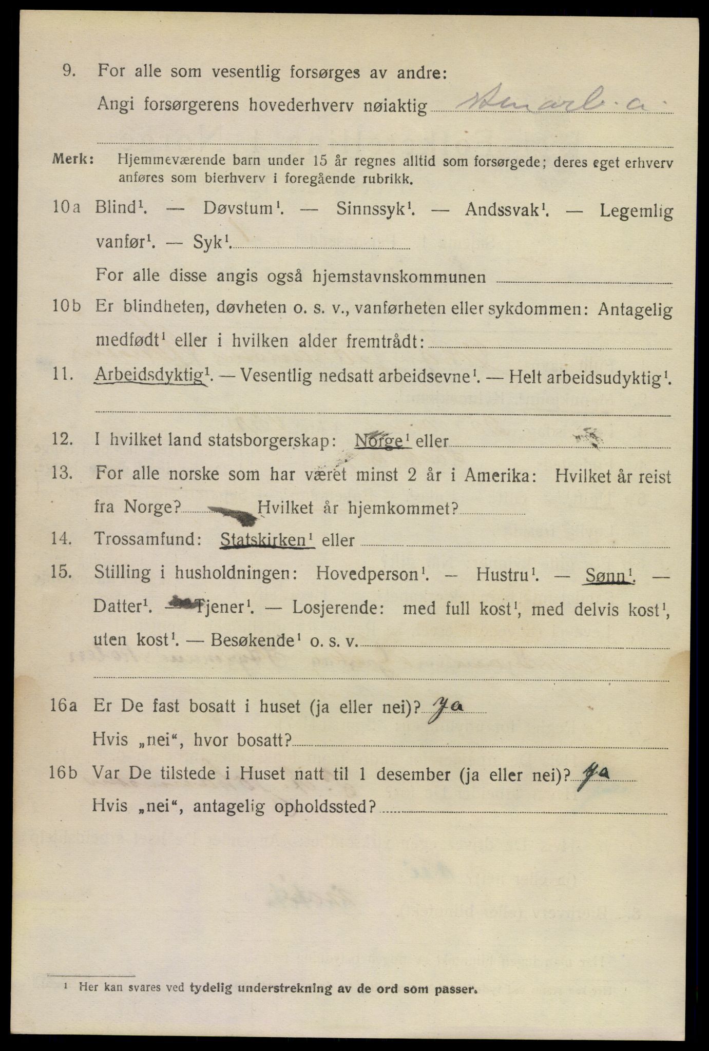 SAKO, 1920 census for Larvik, 1920, p. 19729