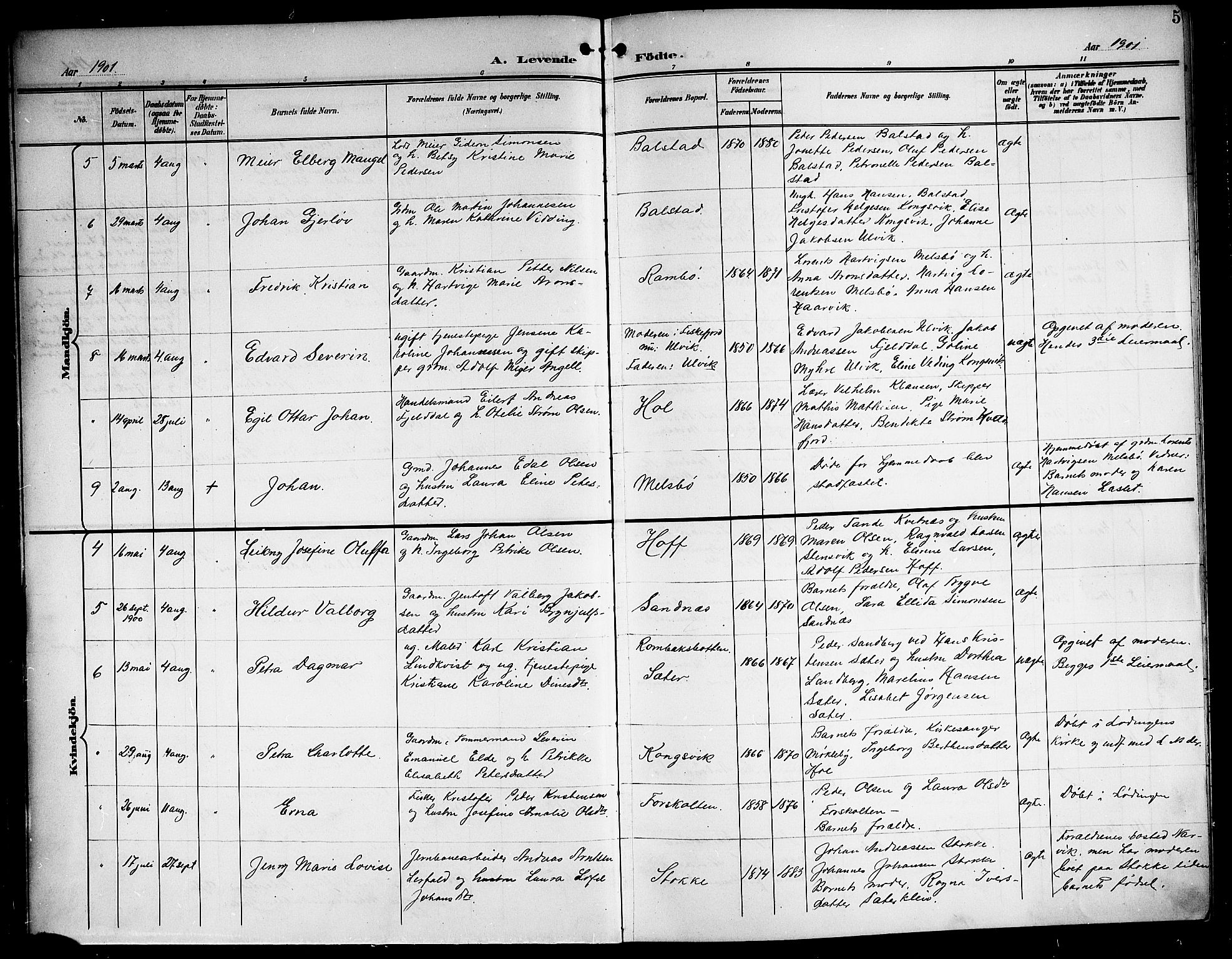 Ministerialprotokoller, klokkerbøker og fødselsregistre - Nordland, SAT/A-1459/865/L0932: Parish register (copy) no. 865C04, 1901-1917, p. 5