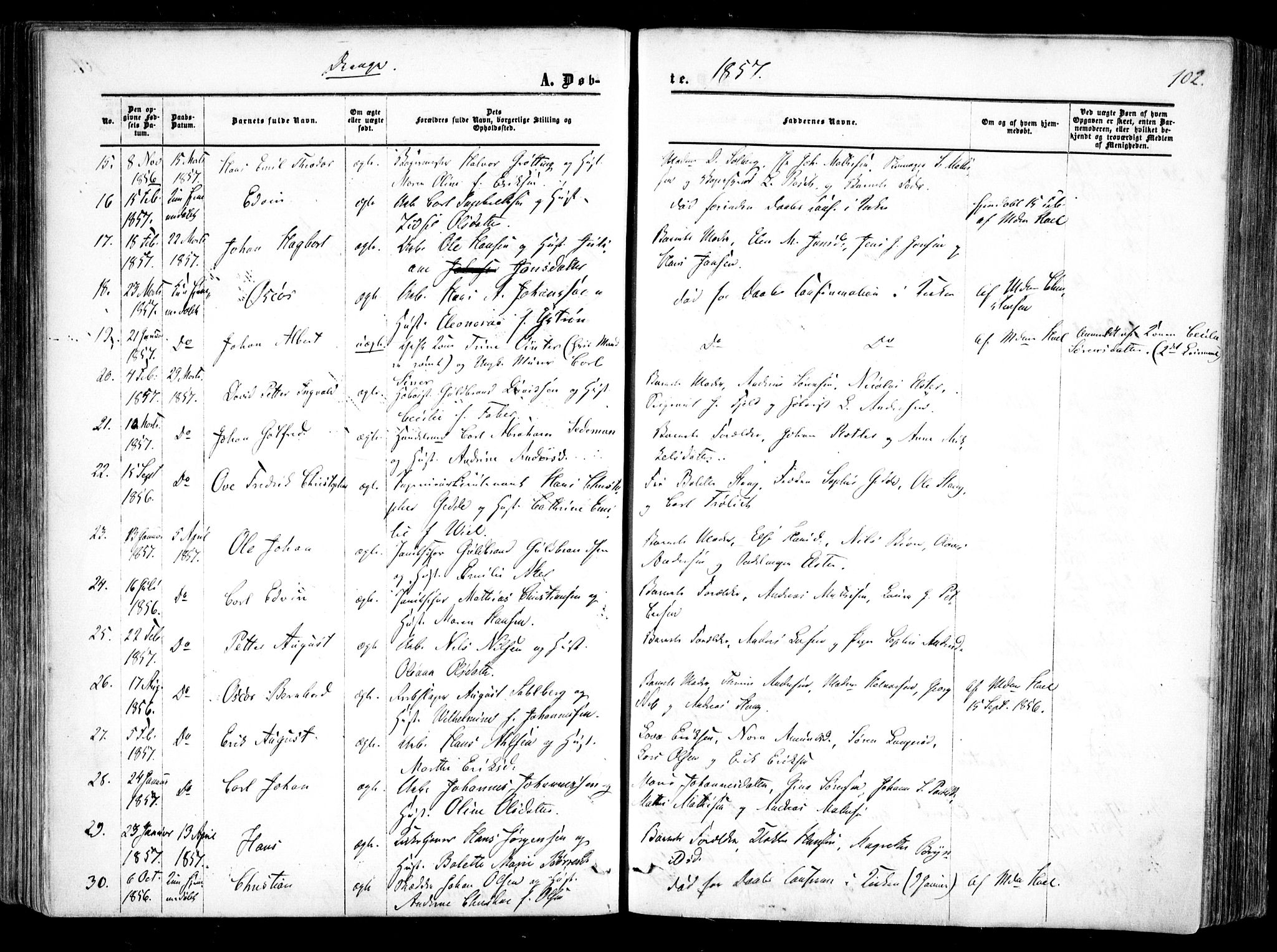 Halden prestekontor Kirkebøker, AV/SAO-A-10909/F/Fa/L0007: Parish register (official) no. I 7, 1857-1865, p. 102