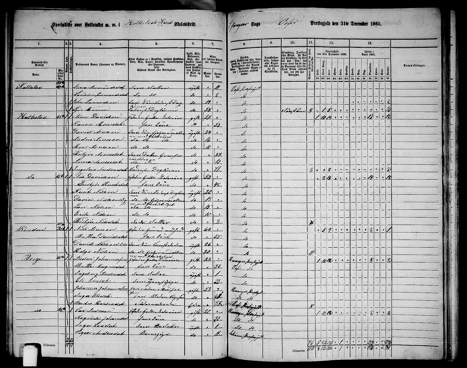 RA, 1865 census for Voss, 1865, p. 397