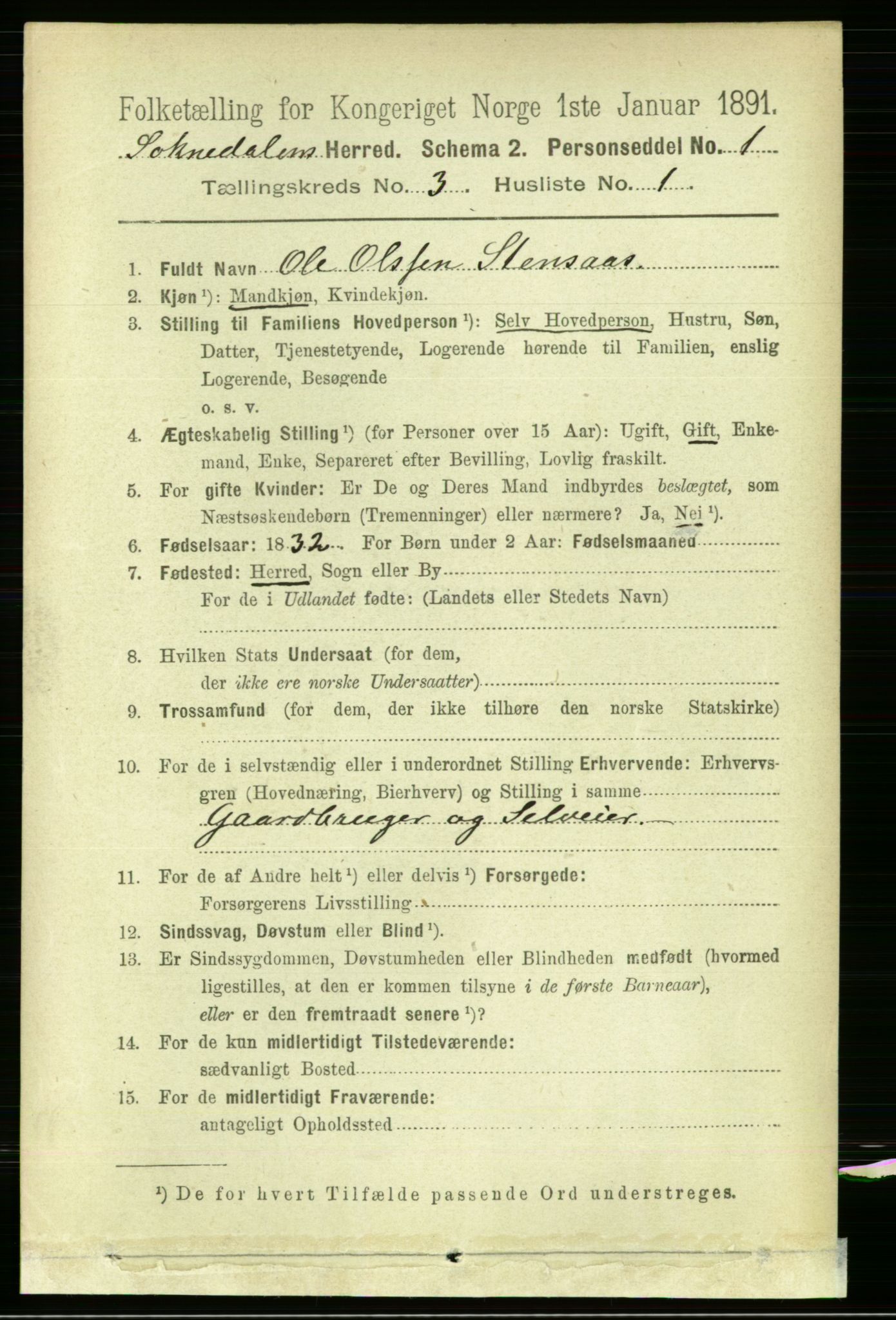 RA, 1891 census for 1649 Soknedal, 1891, p. 1157