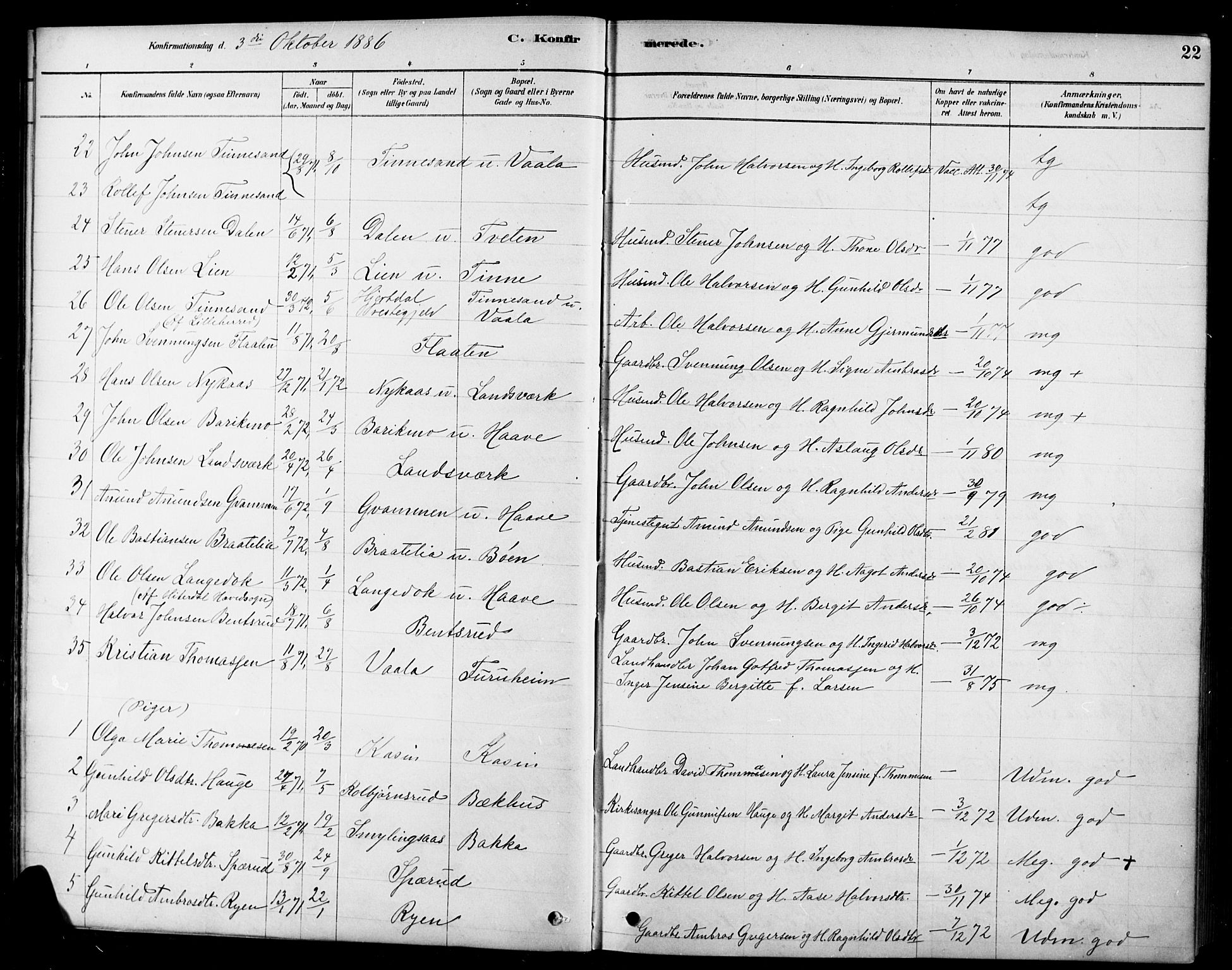 Heddal kirkebøker, AV/SAKO-A-268/F/Fa/L0009: Parish register (official) no. I 9, 1878-1903, p. 22