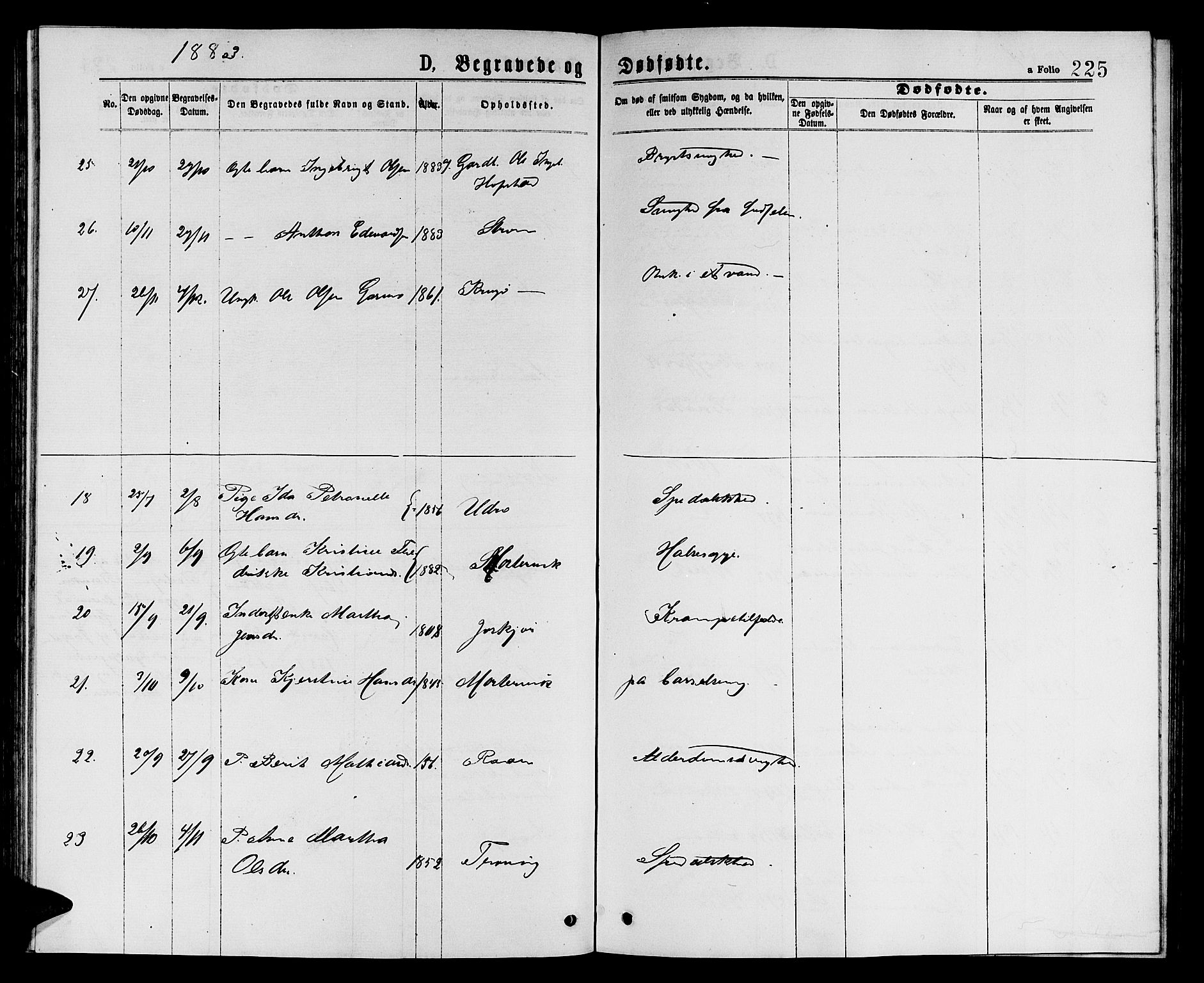 Ministerialprotokoller, klokkerbøker og fødselsregistre - Sør-Trøndelag, SAT/A-1456/657/L0715: Parish register (copy) no. 657C02, 1873-1888, p. 225