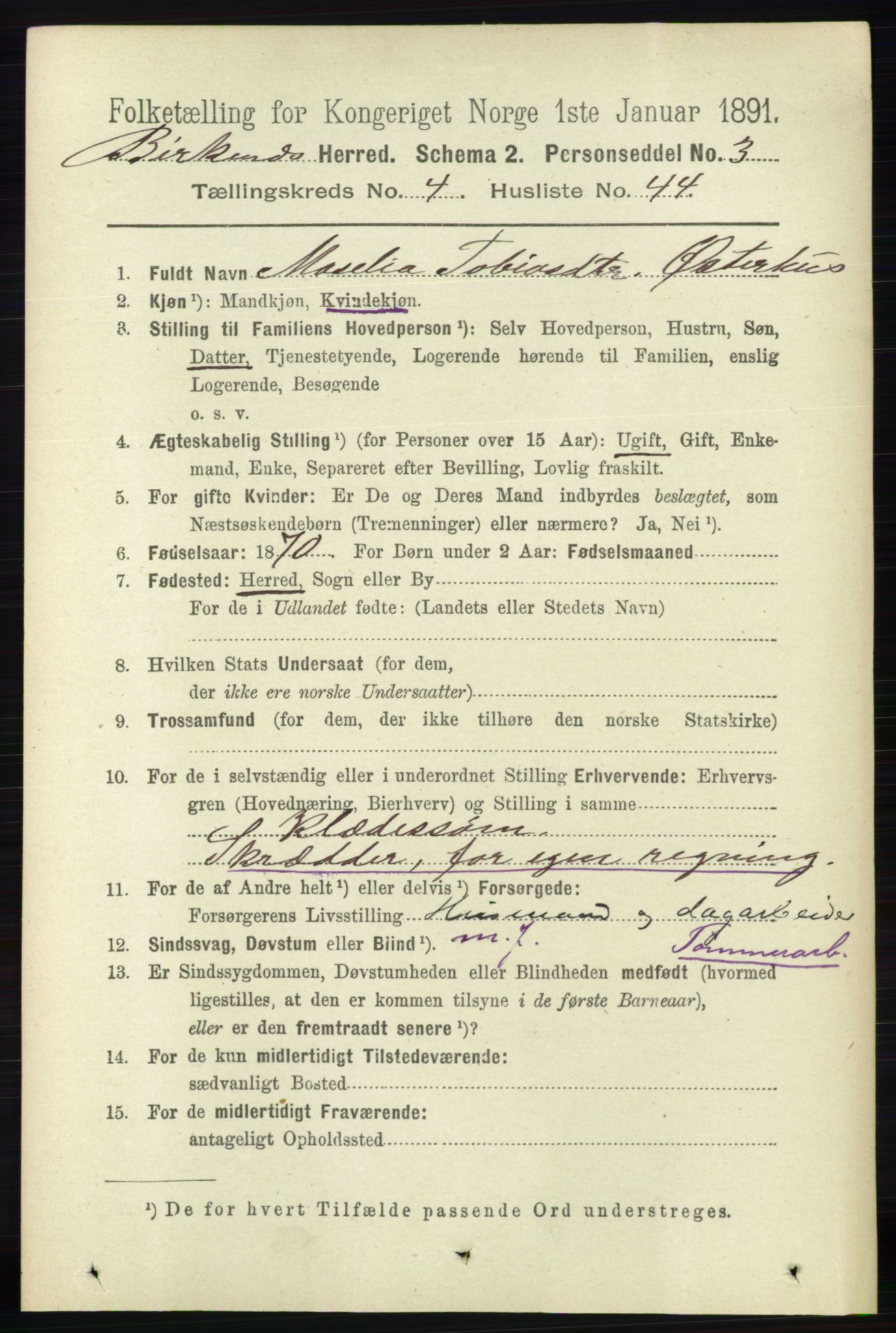 RA, 1891 Census for 0928 Birkenes, 1891, p. 1489