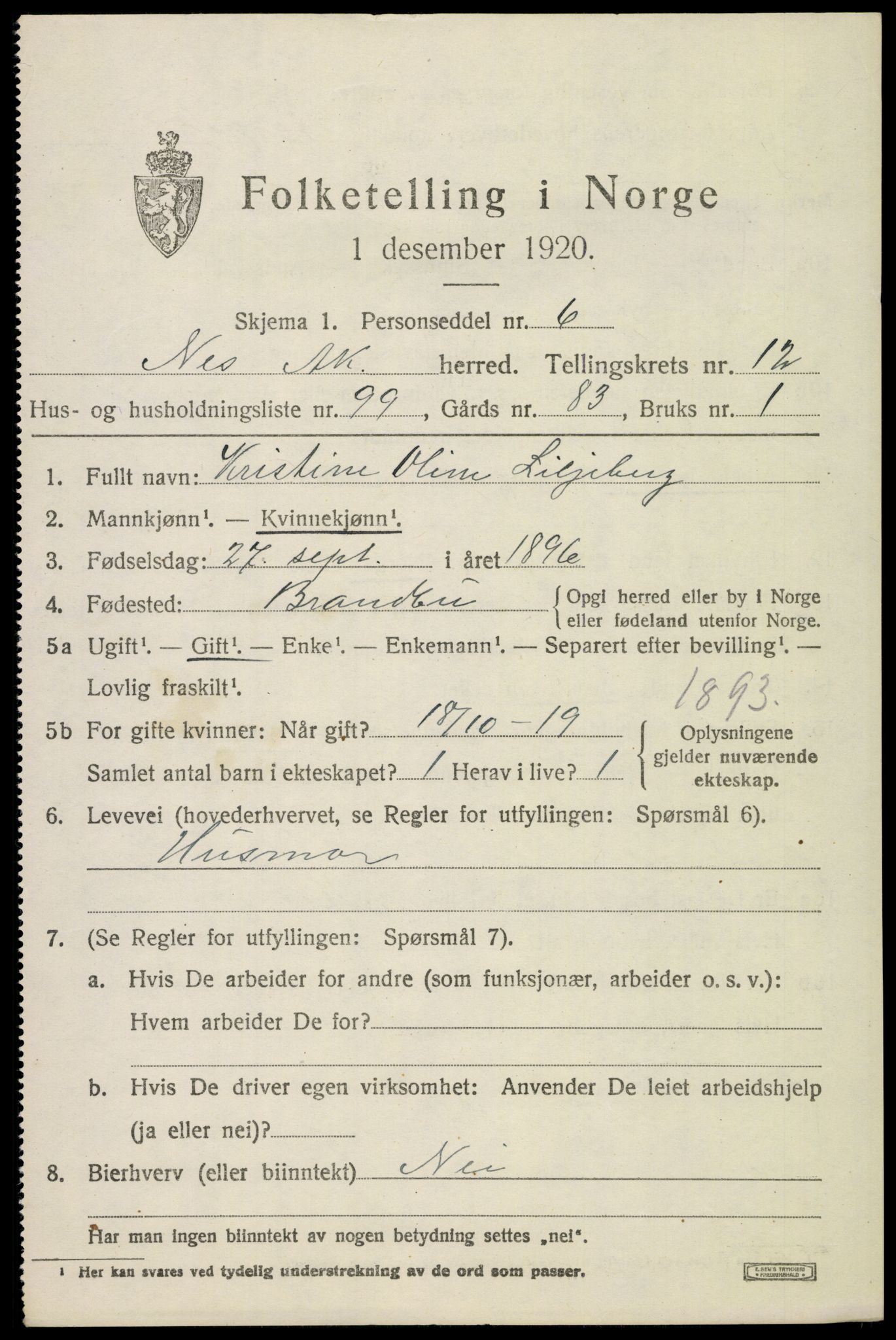 SAO, 1920 census for Nes, 1920, p. 13416