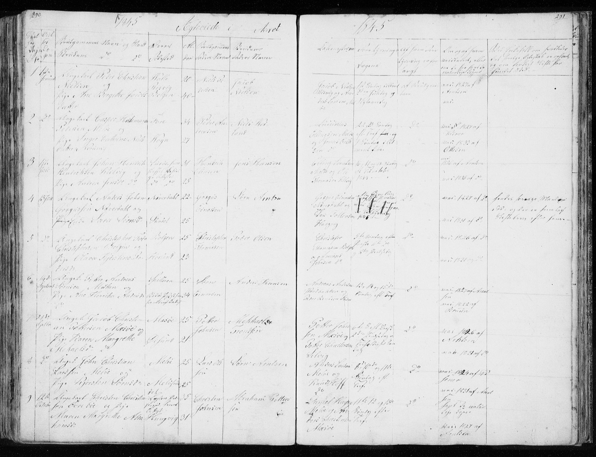 Ministerialprotokoller, klokkerbøker og fødselsregistre - Nordland, AV/SAT-A-1459/843/L0632: Parish register (copy) no. 843C01, 1833-1853, p. 290-291