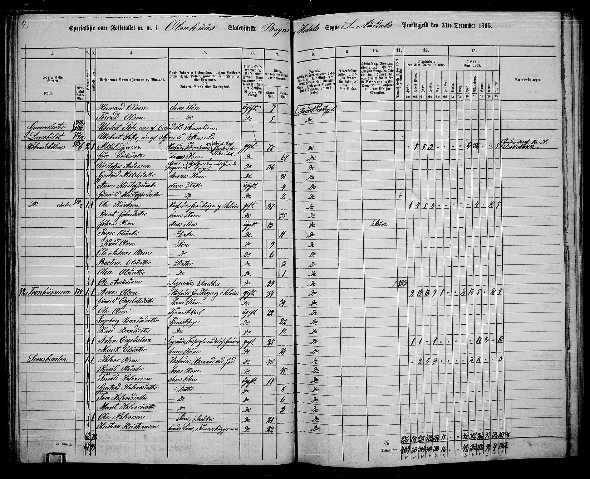 RA, 1865 census for Sør-Aurdal, 1865, p. 113