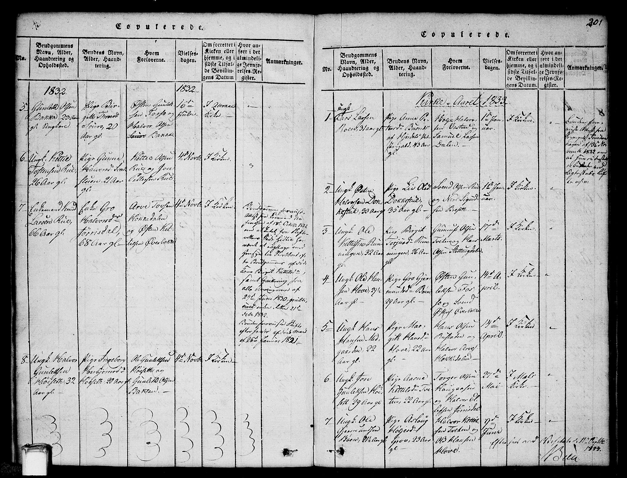 Gransherad kirkebøker, SAKO/A-267/G/Gb/L0001: Parish register (copy) no. II 1, 1815-1860, p. 201