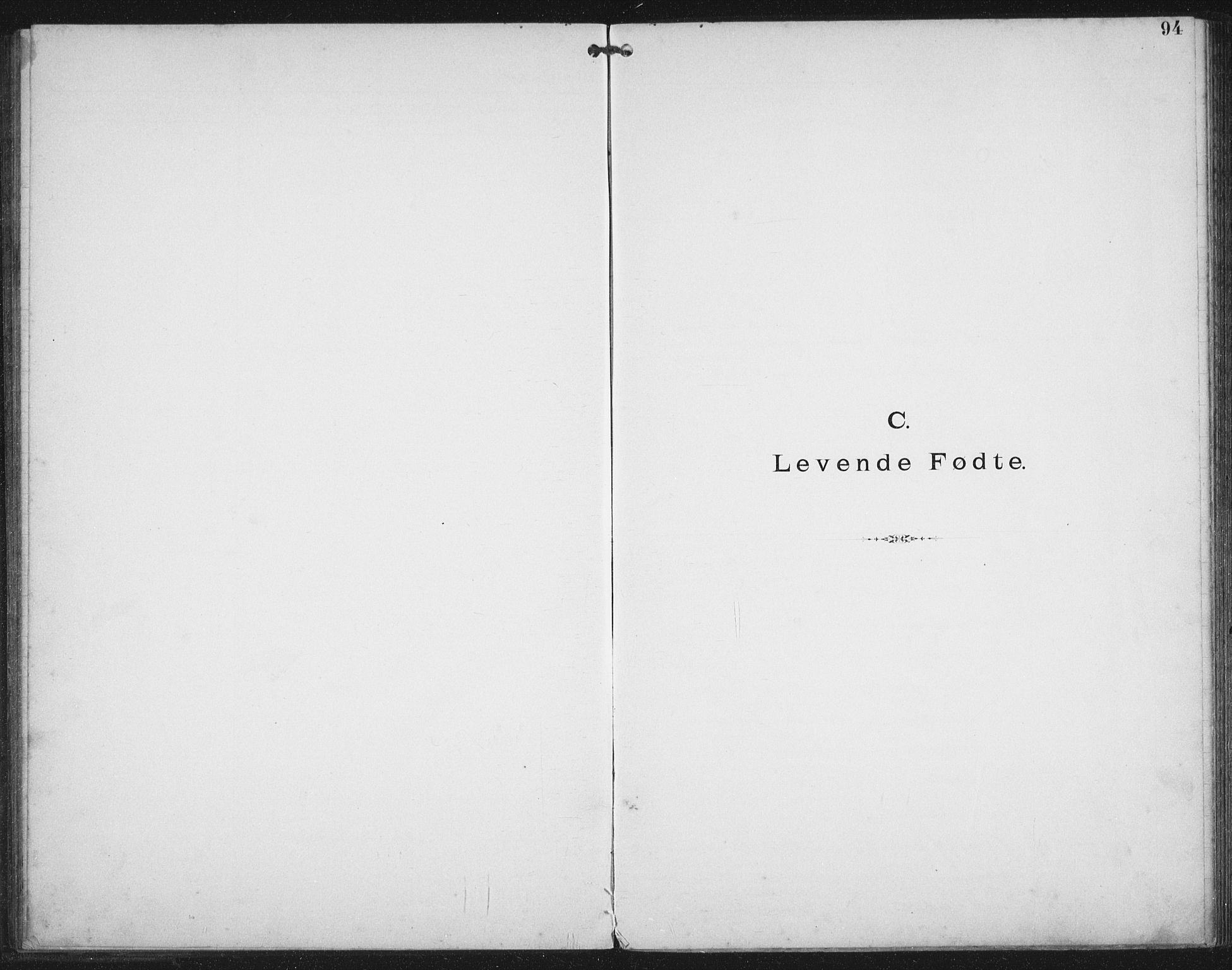 Ministerialprotokoller, klokkerbøker og fødselsregistre - Nordland, AV/SAT-A-1459/881/L1174: Dissenter register no. 881D01, 1891-1933, p. 94