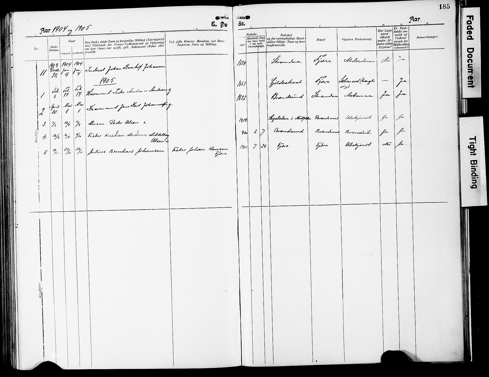 Ministerialprotokoller, klokkerbøker og fødselsregistre - Nordland, SAT/A-1459/803/L0077: Parish register (copy) no. 803C04, 1897-1930, p. 185