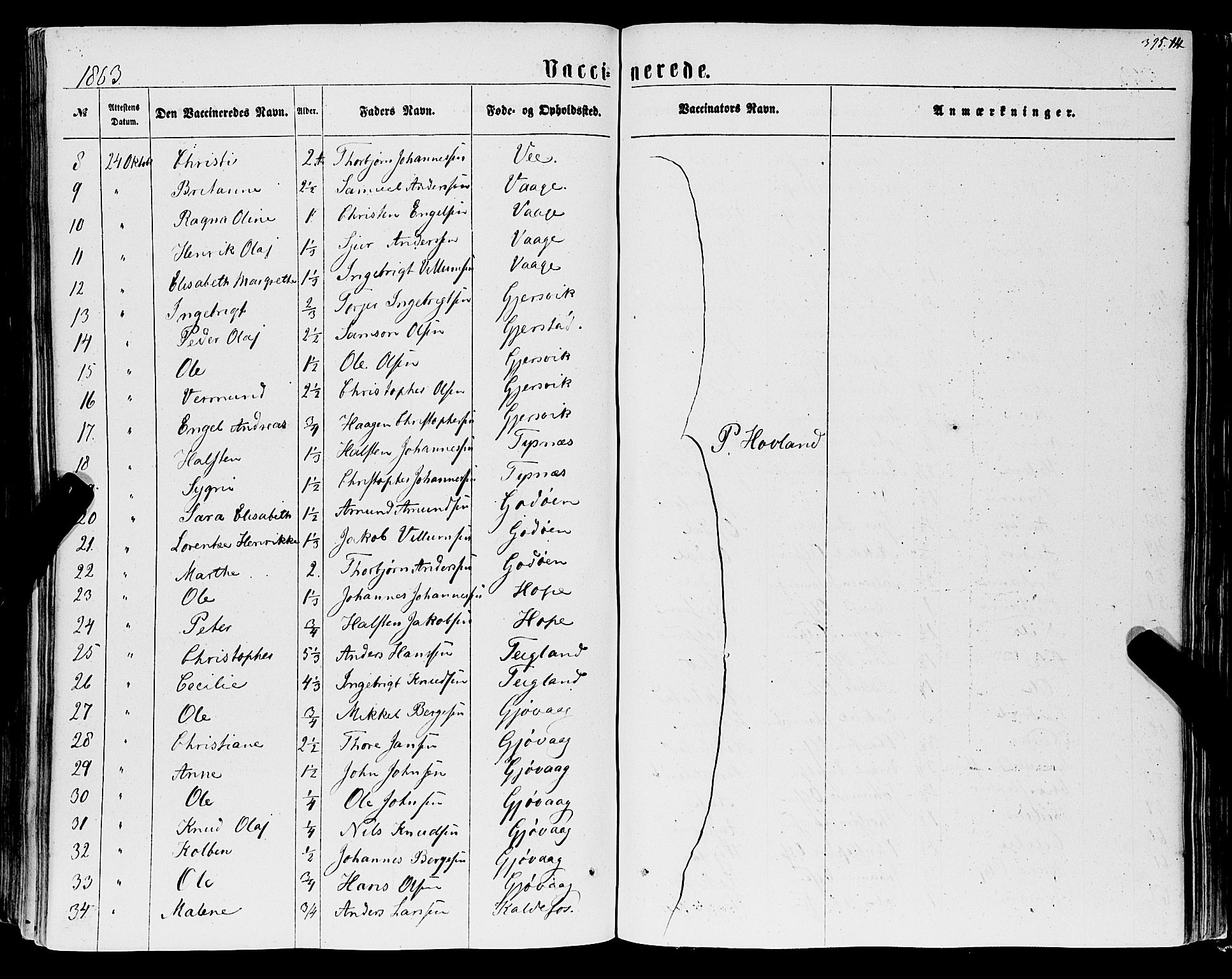 Tysnes sokneprestembete, AV/SAB-A-78601/H/Haa: Parish register (official) no. A 11, 1860-1871, p. 395