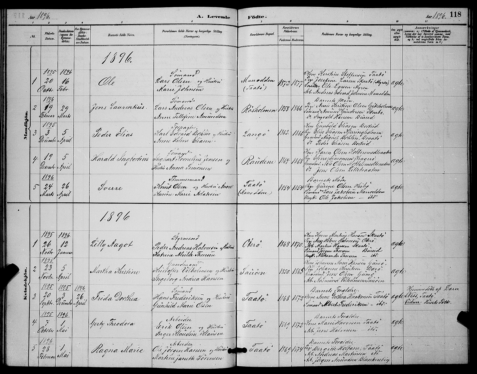Skåtøy kirkebøker, SAKO/A-304/G/Ga/L0003: Parish register (copy) no. I 3, 1884-1898, p. 118