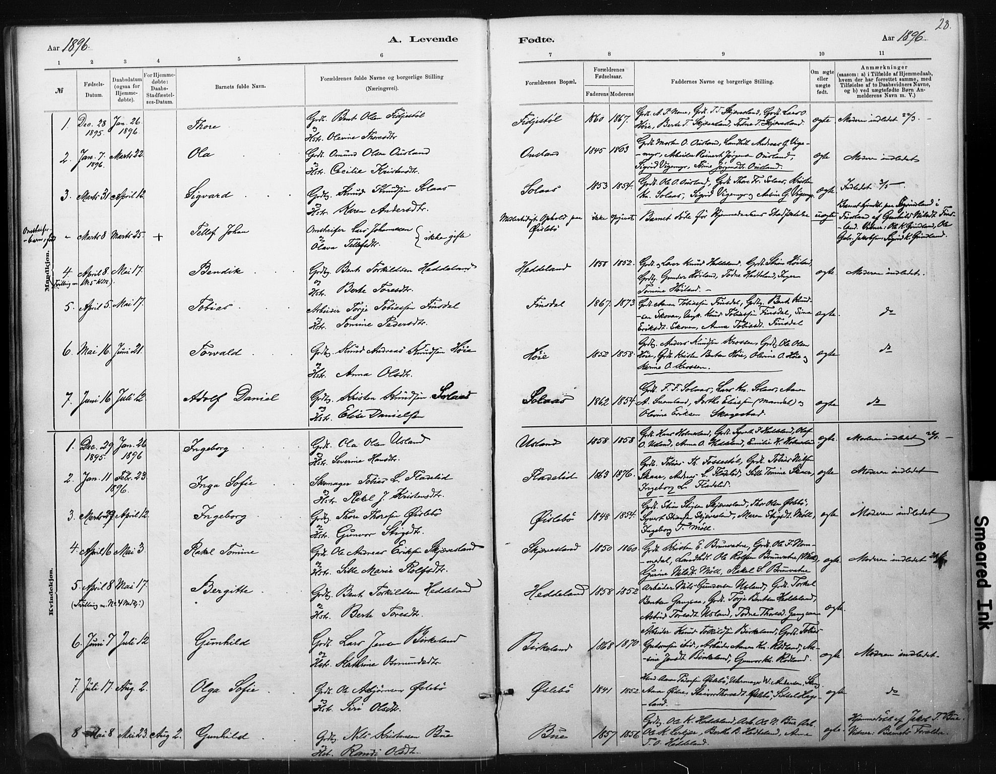 Holum sokneprestkontor, AV/SAK-1111-0022/F/Fa/Fac/L0004: Parish register (official) no. A 4, 1884-1907, p. 28