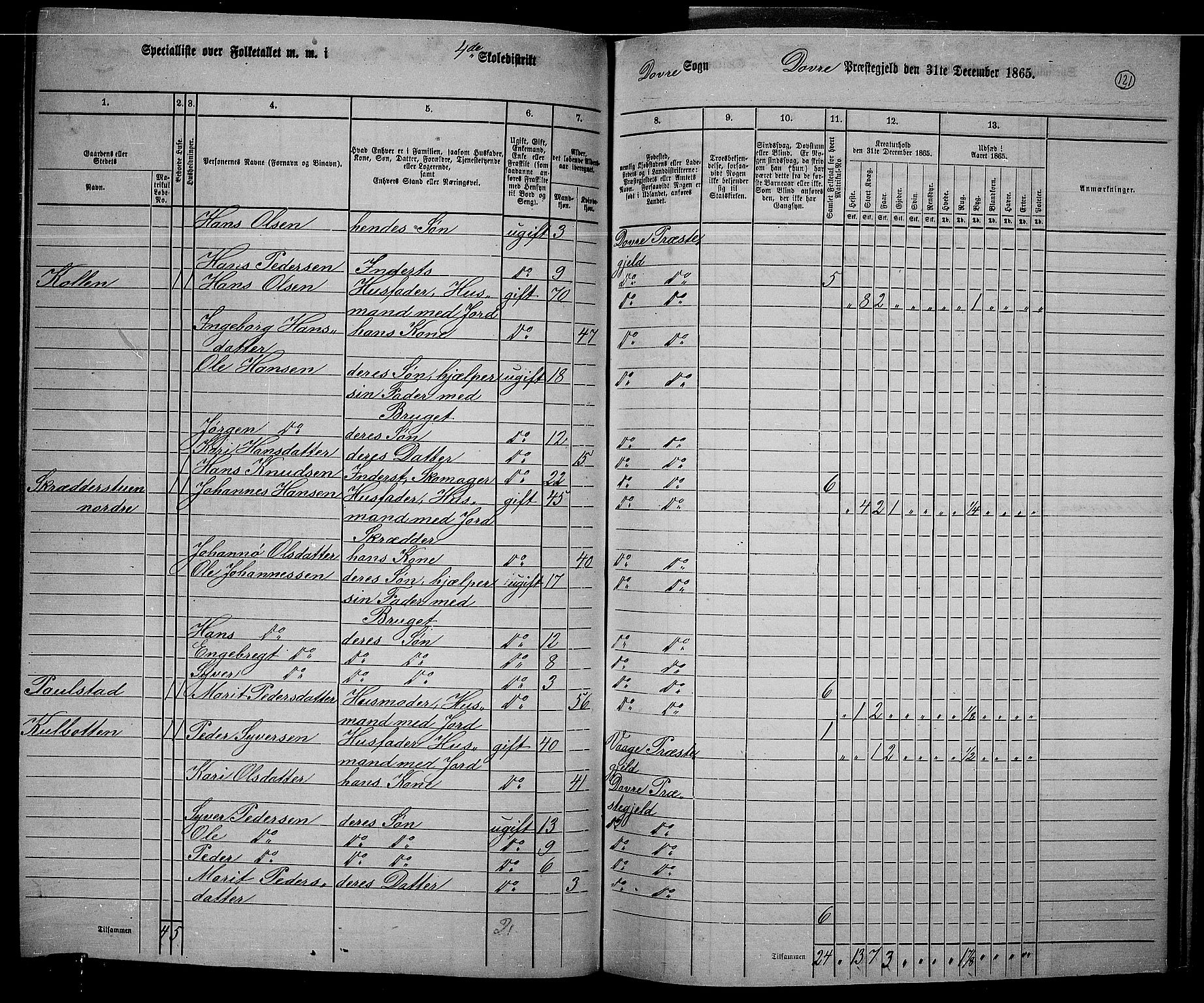 RA, 1865 census for Dovre, 1865, p. 117