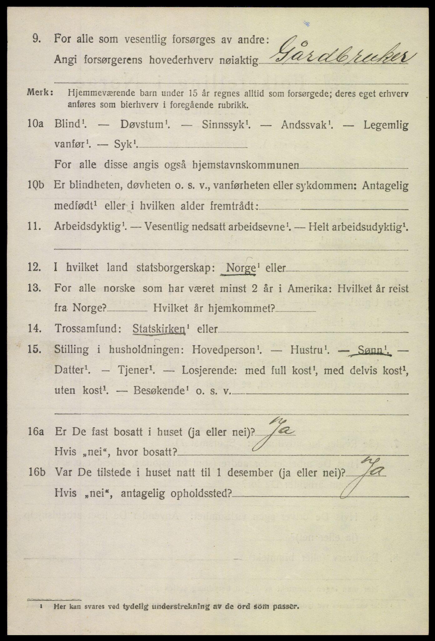 SAH, 1920 census for Vang (Oppland), 1920, p. 3384