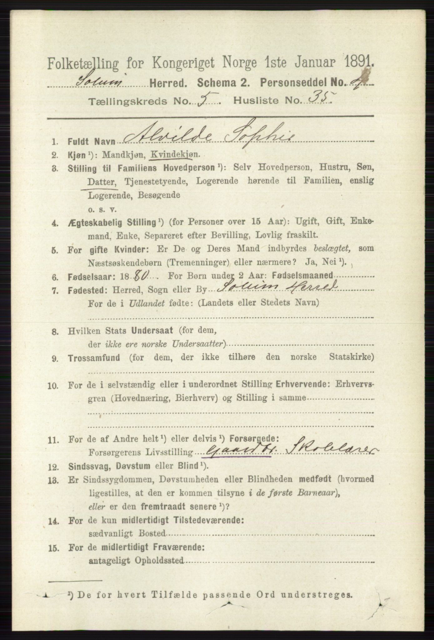 RA, 1891 census for 0818 Solum, 1891, p. 1052