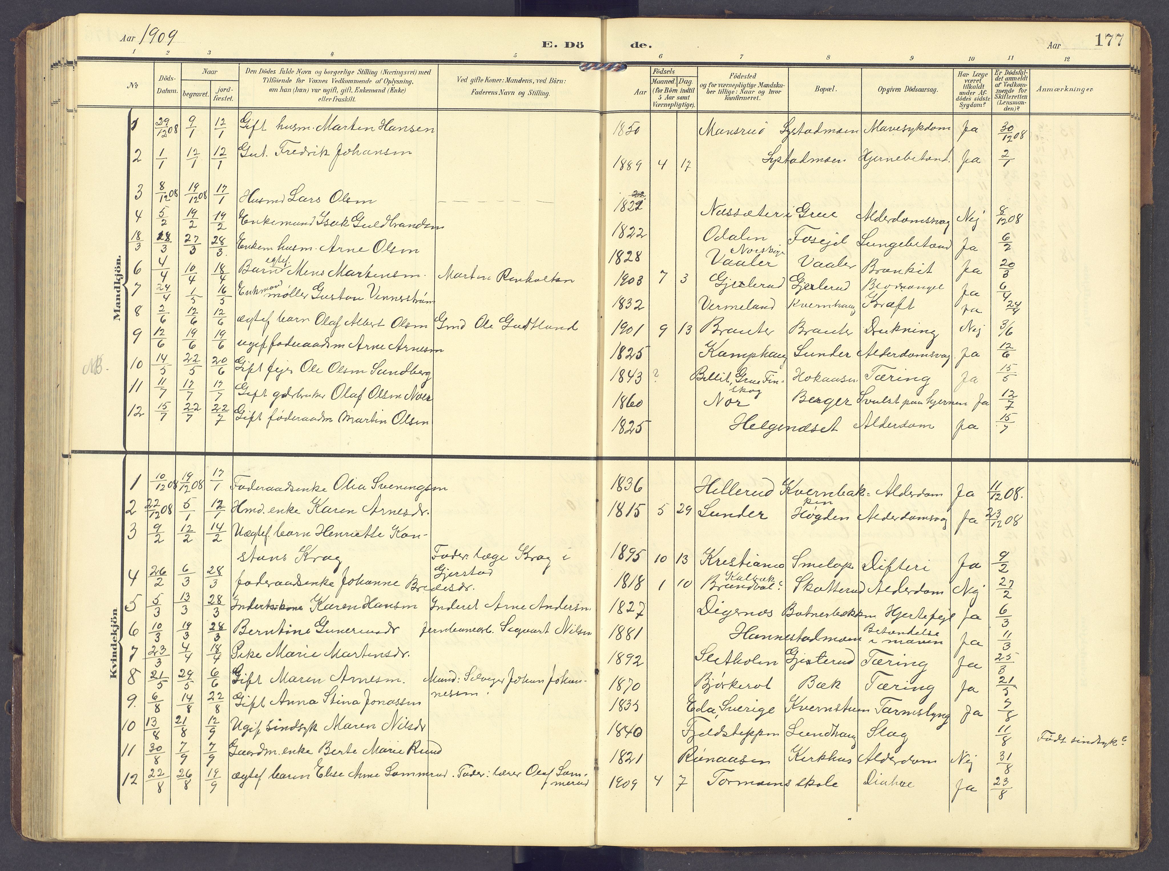 Brandval prestekontor, AV/SAH-PREST-034/H/Ha/Hab/L0003: Parish register (copy) no. 3, 1904-1917, p. 177