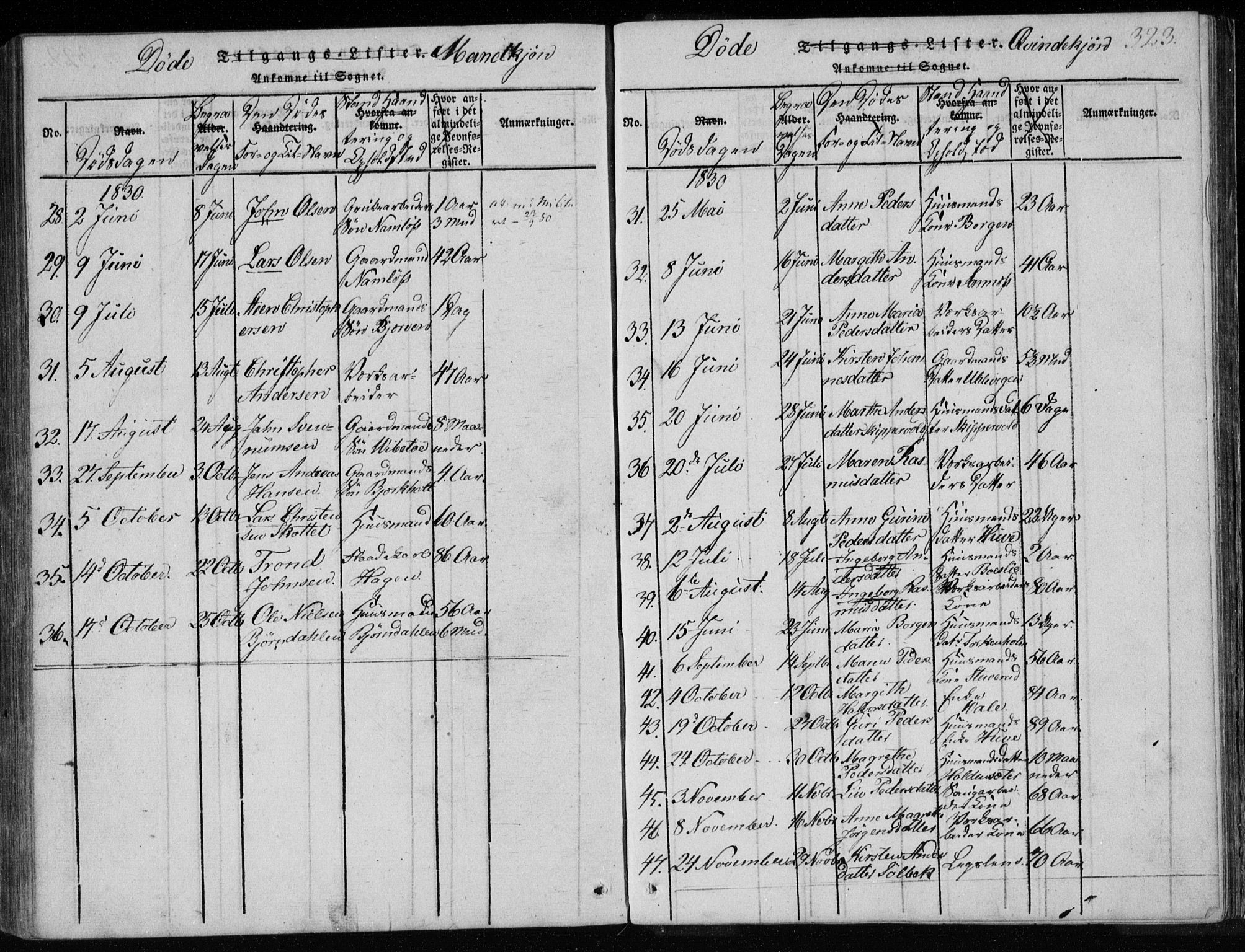 Holla kirkebøker, AV/SAKO-A-272/F/Fa/L0003: Parish register (official) no. 3, 1815-1830, p. 323