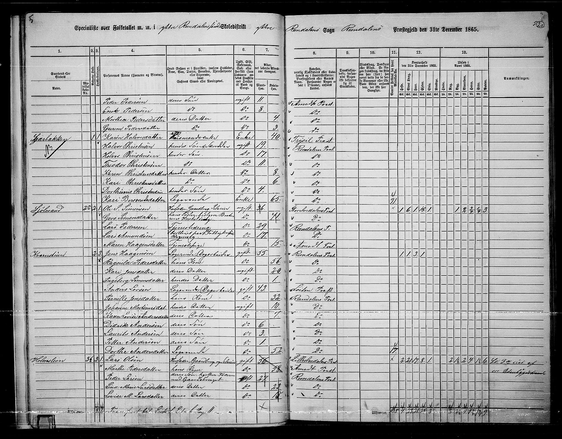 RA, 1865 census for Rendalen, 1865, p. 20