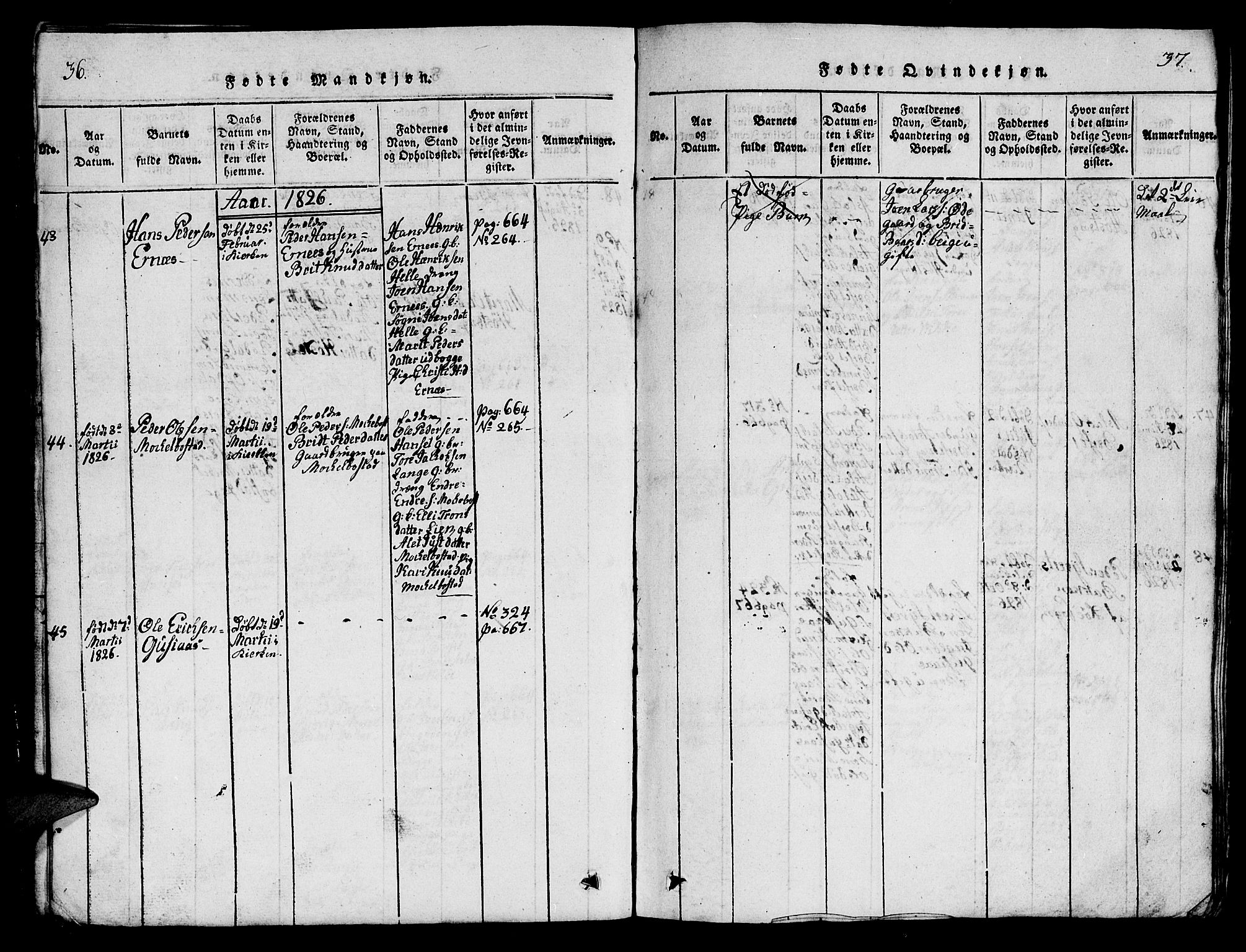 Ministerialprotokoller, klokkerbøker og fødselsregistre - Møre og Romsdal, SAT/A-1454/554/L0644: Parish register (copy) no. 554C01, 1818-1851, p. 36-37