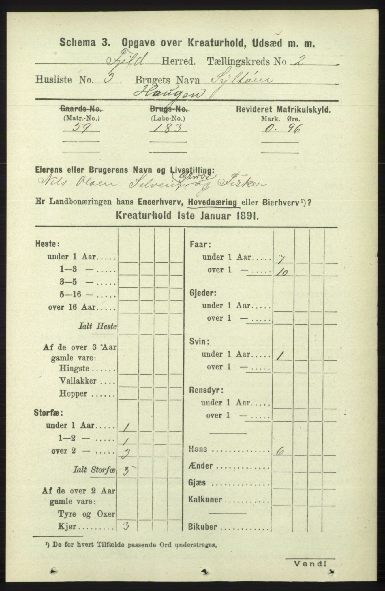 RA, 1891 census for 1246 Fjell, 1891, p. 4024