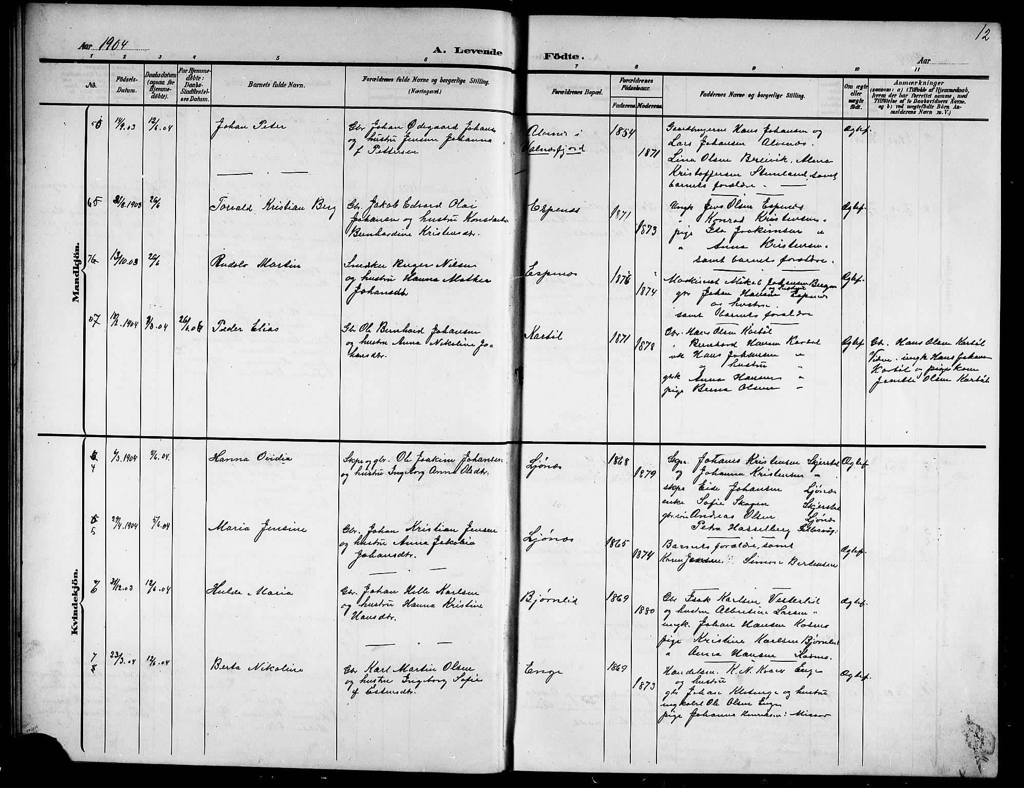 Ministerialprotokoller, klokkerbøker og fødselsregistre - Nordland, AV/SAT-A-1459/852/L0756: Parish register (copy) no. 852C07, 1902-1916, p. 12