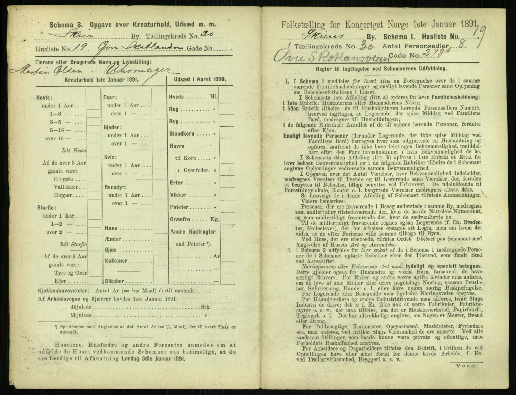 RA, 1891 census for 0806 Skien, 1891, p. 1166