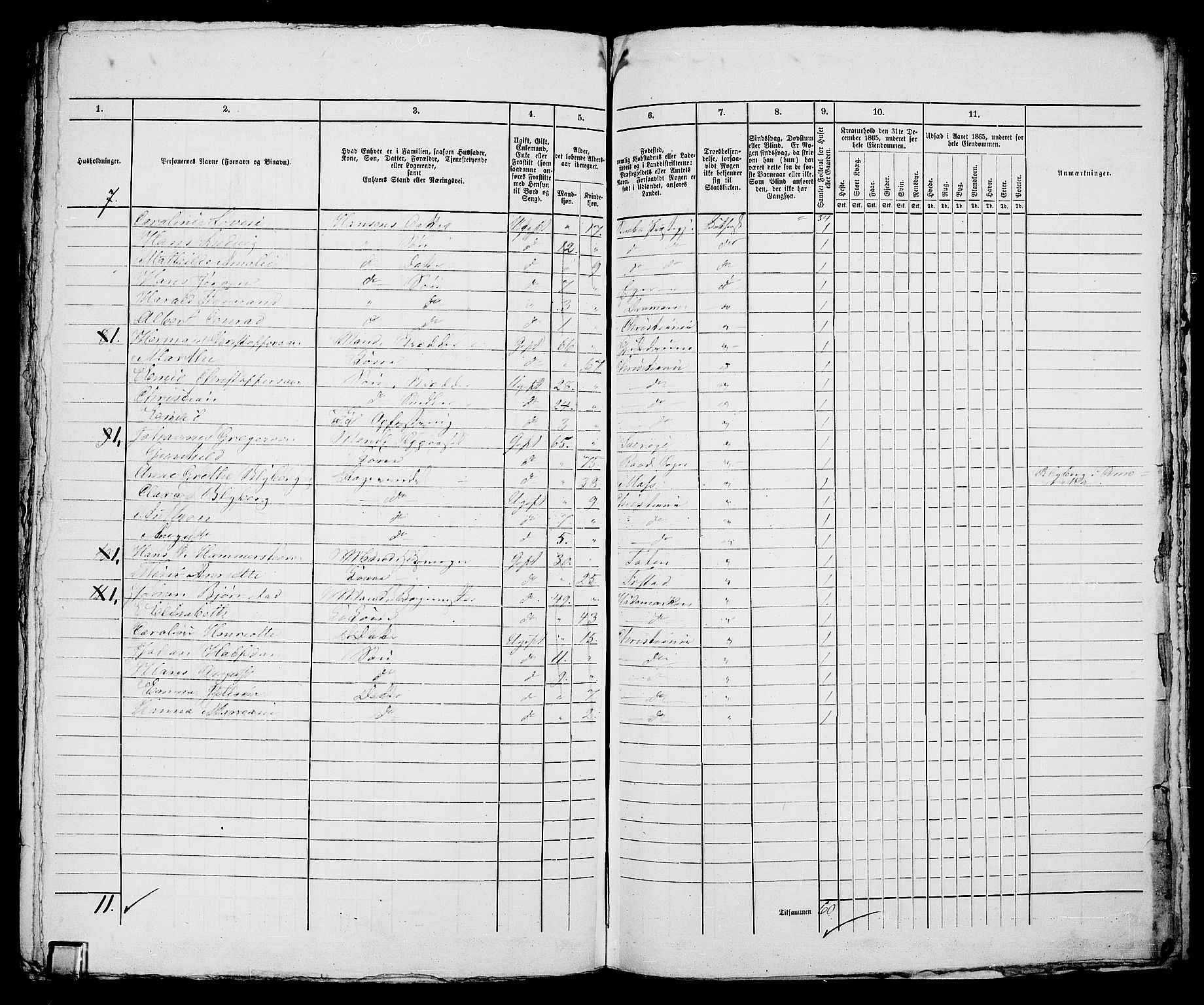 RA, 1865 census for Kristiania, 1865, p. 2981