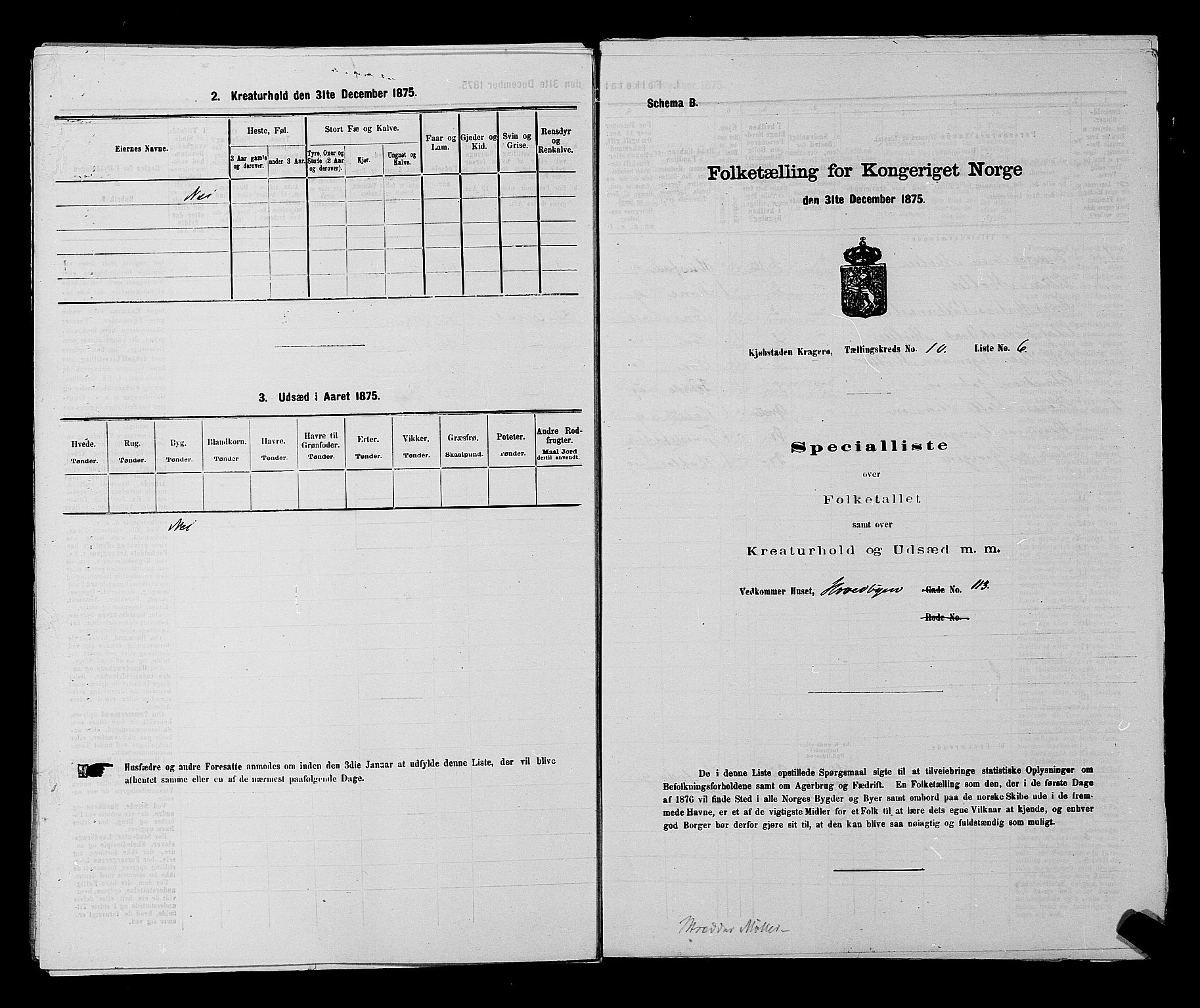 SAKO, 1875 census for 0801P Kragerø, 1875, p. 224