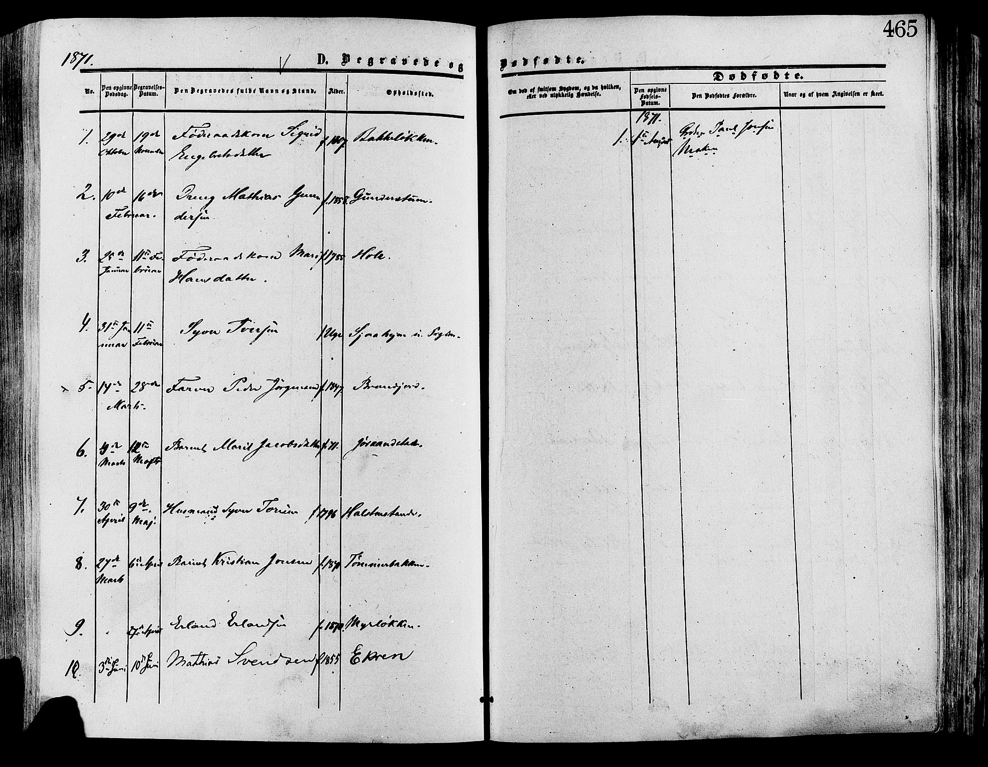 Lesja prestekontor, SAH/PREST-068/H/Ha/Haa/L0008: Parish register (official) no. 8, 1854-1880, p. 465