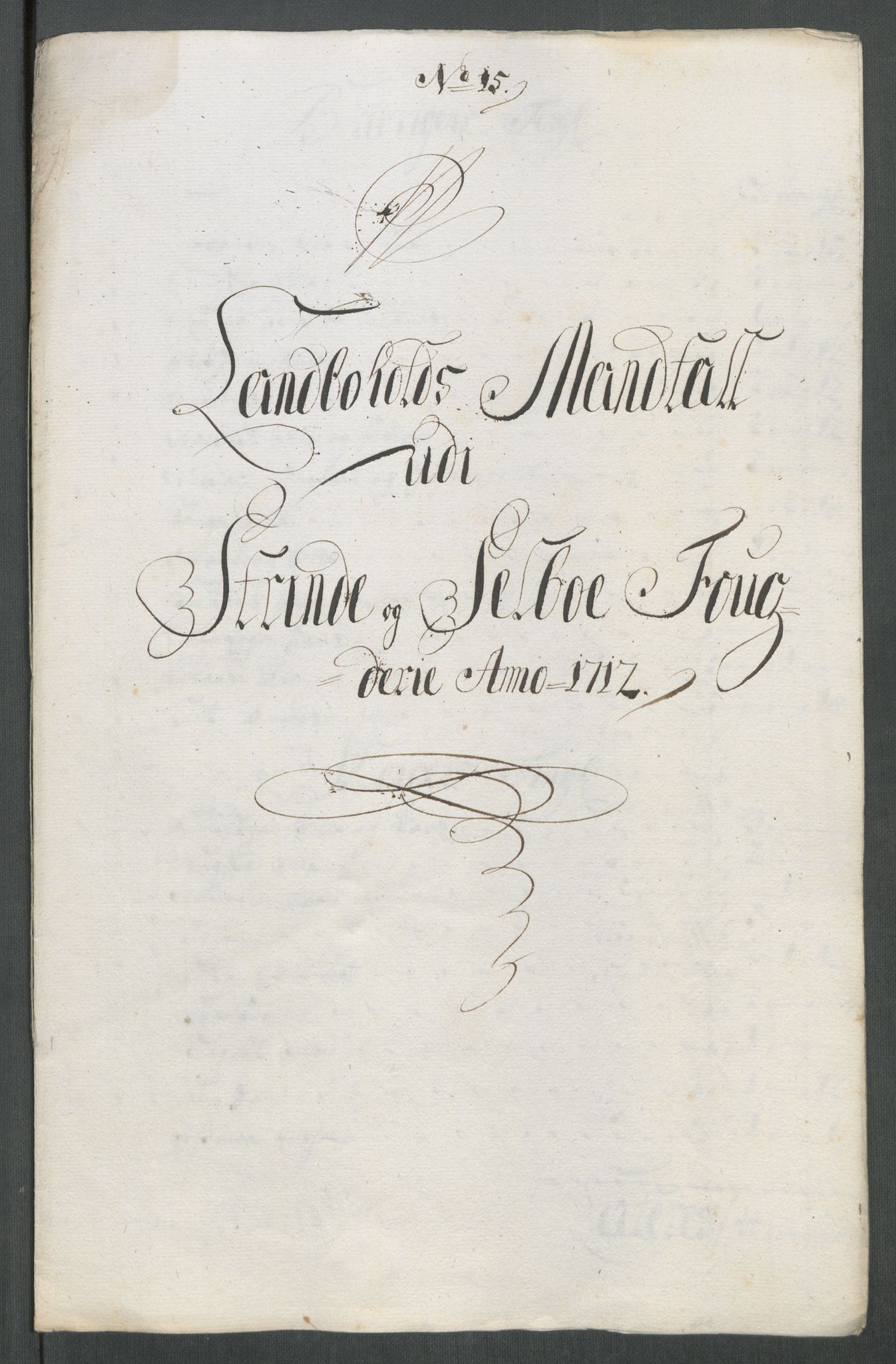 Rentekammeret inntil 1814, Reviderte regnskaper, Fogderegnskap, RA/EA-4092/R61/L4113: Fogderegnskap Strinda og Selbu, 1712-1713, p. 161