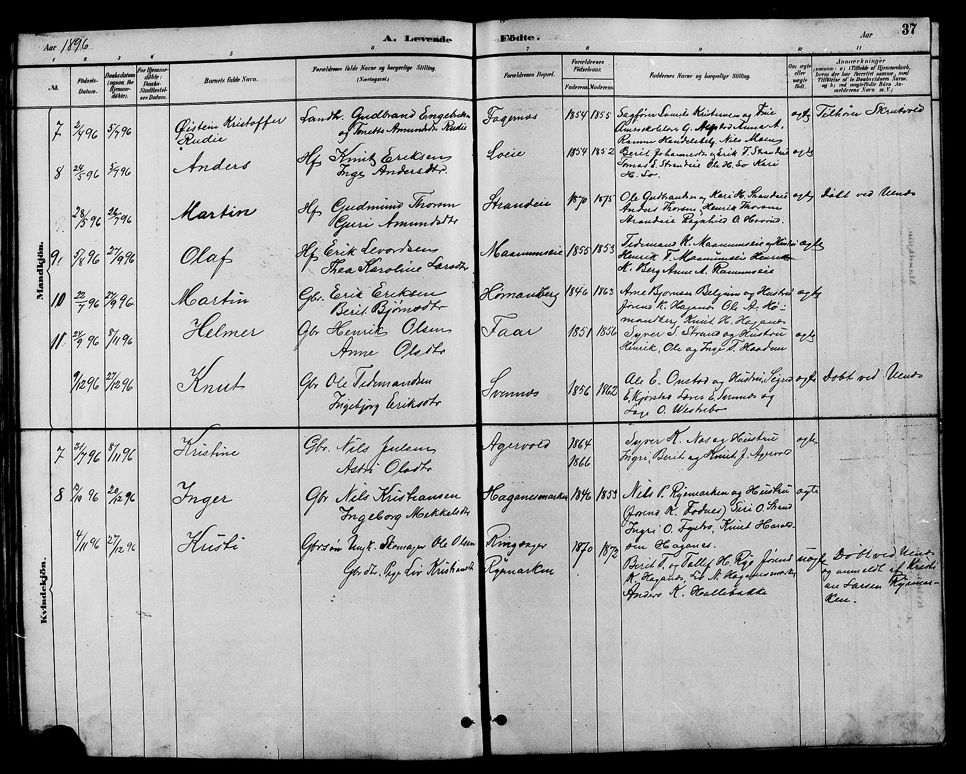 Nord-Aurdal prestekontor, SAH/PREST-132/H/Ha/Hab/L0007: Parish register (copy) no. 7, 1883-1910, p. 37