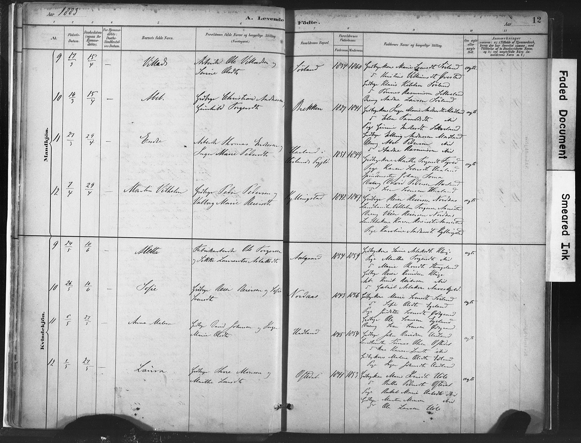 Lye sokneprestkontor, AV/SAST-A-101794/001/30BA/L0010: Parish register (official) no. A 10, 1881-1896, p. 12