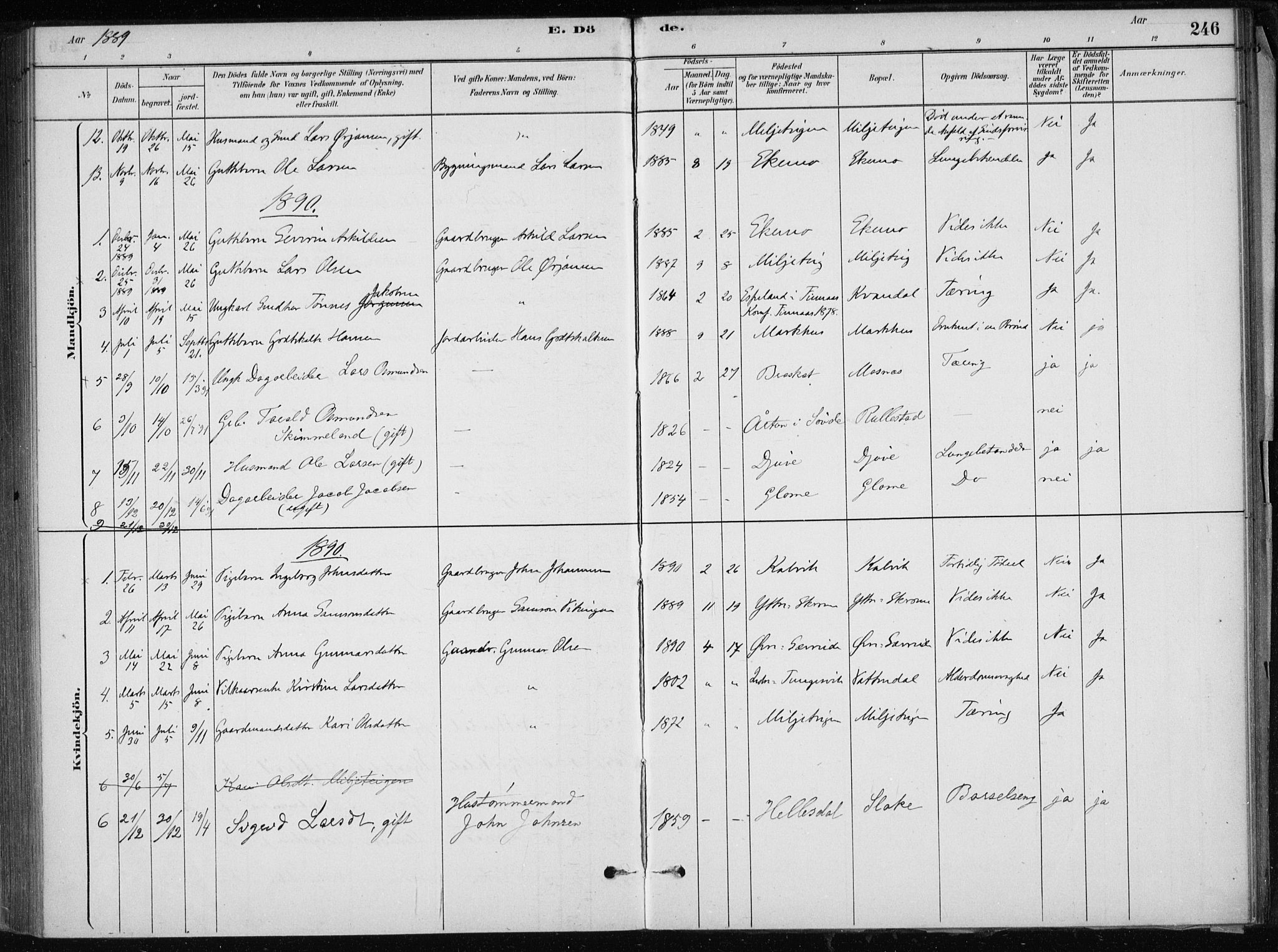 Skånevik sokneprestembete, SAB/A-77801/H/Haa: Parish register (official) no. E  1, 1879-1901, p. 246