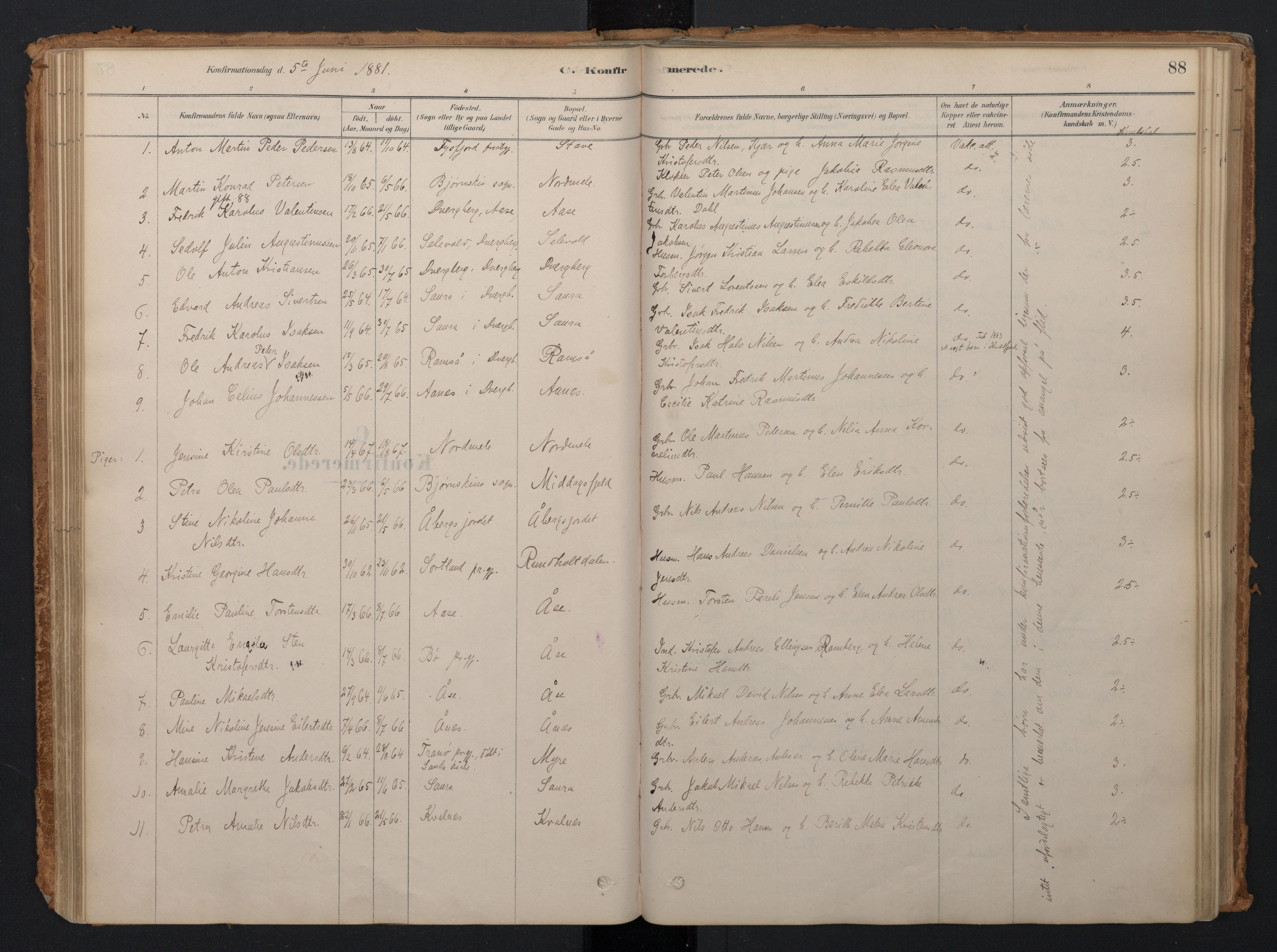 Ministerialprotokoller, klokkerbøker og fødselsregistre - Nordland, AV/SAT-A-1459/897/L1399: Parish register (official) no. 897A06, 1881-1896, p. 88